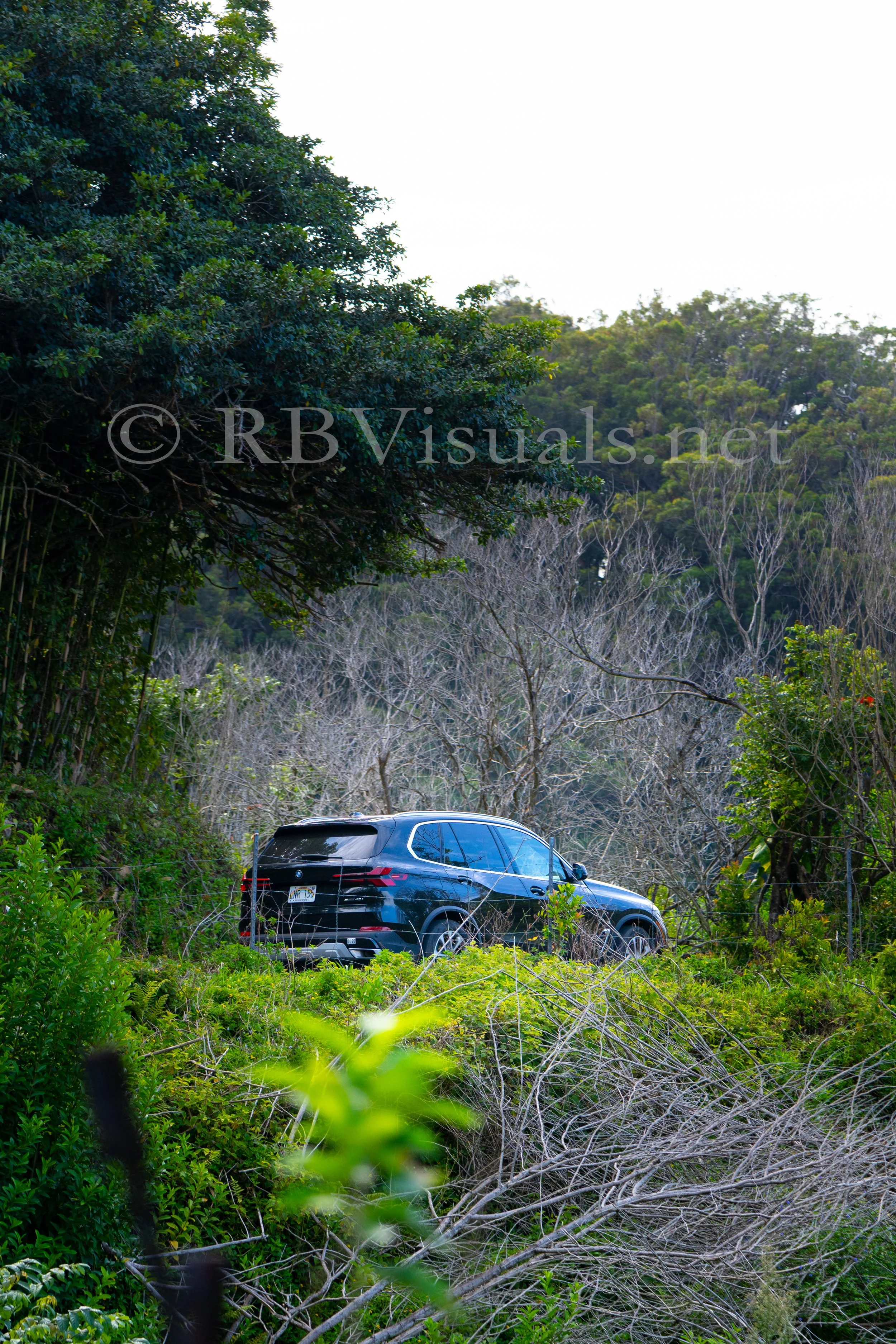 BMW Promo - Hana, Maui, Hawai'i