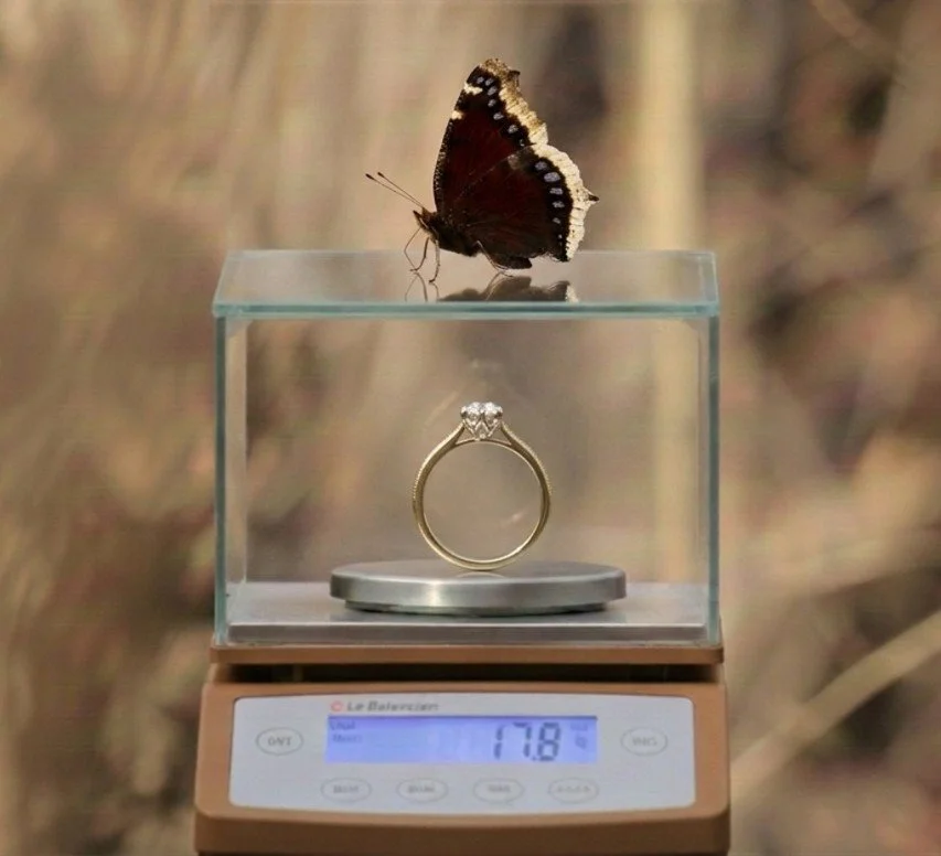 ring with butterfly .jpg