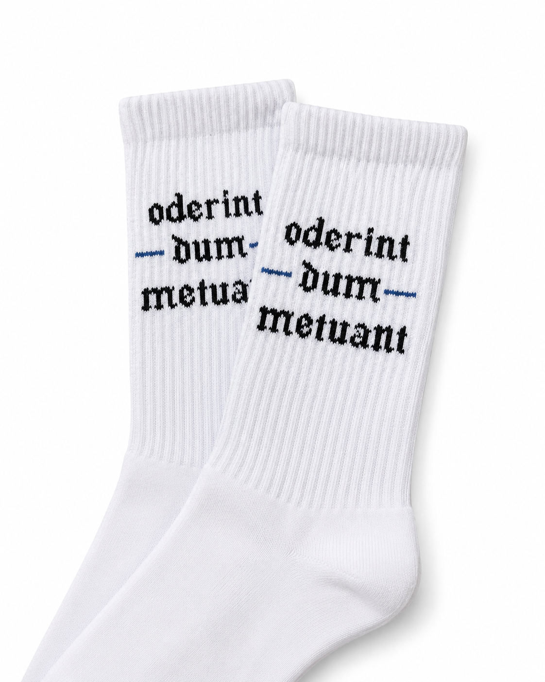 6fa4c9bb-528a-4a00-8c92-d2f4ea70c6b3.png