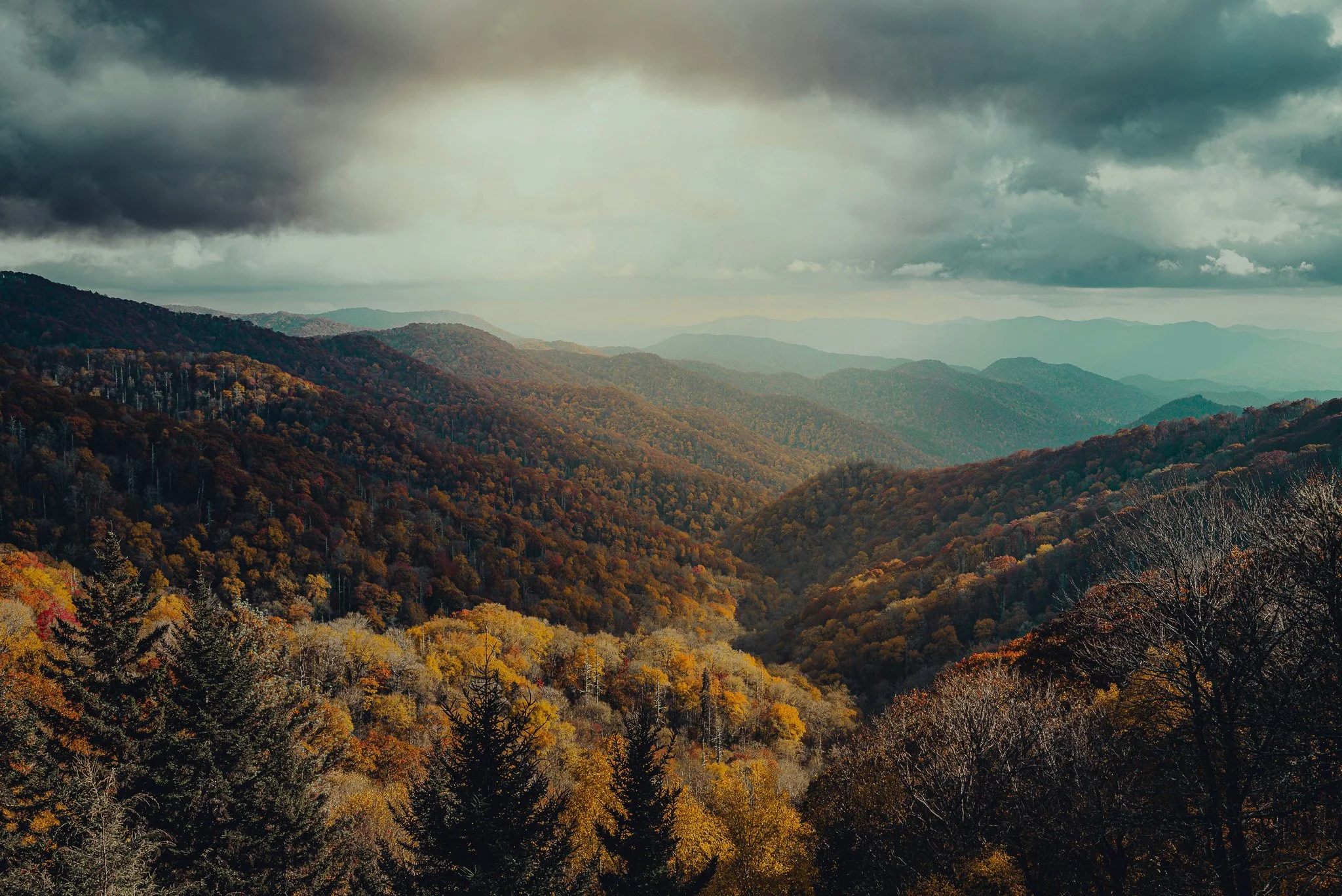 View of rolling mountains covered in dense forests with autumn foliage under a cloudy sky.