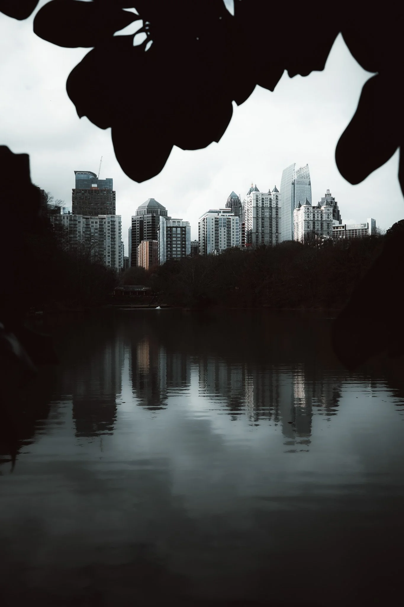 City skyline with tall buildings and a body of water in the foreground, framed by dark leaves at the top.