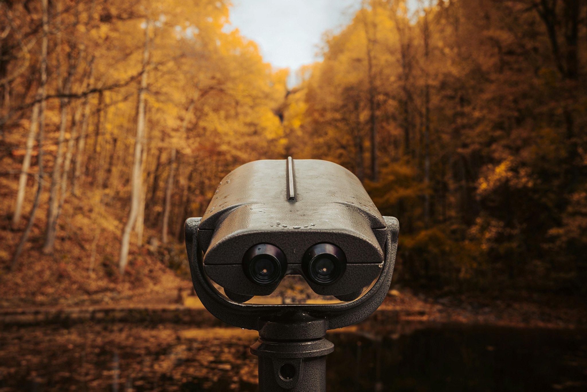 A coin-operated binocular viewer on a stand overlooking a forested area with autumn trees in shades of yellow and orange.