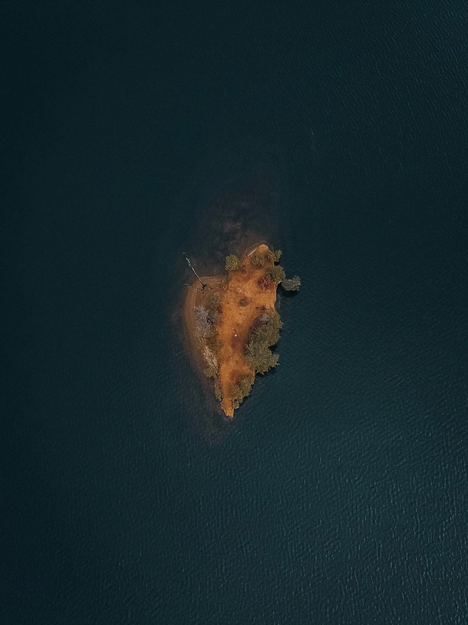 A small, partly wooded island surrounded by dark blue water, with some trees and a structure near the center.
