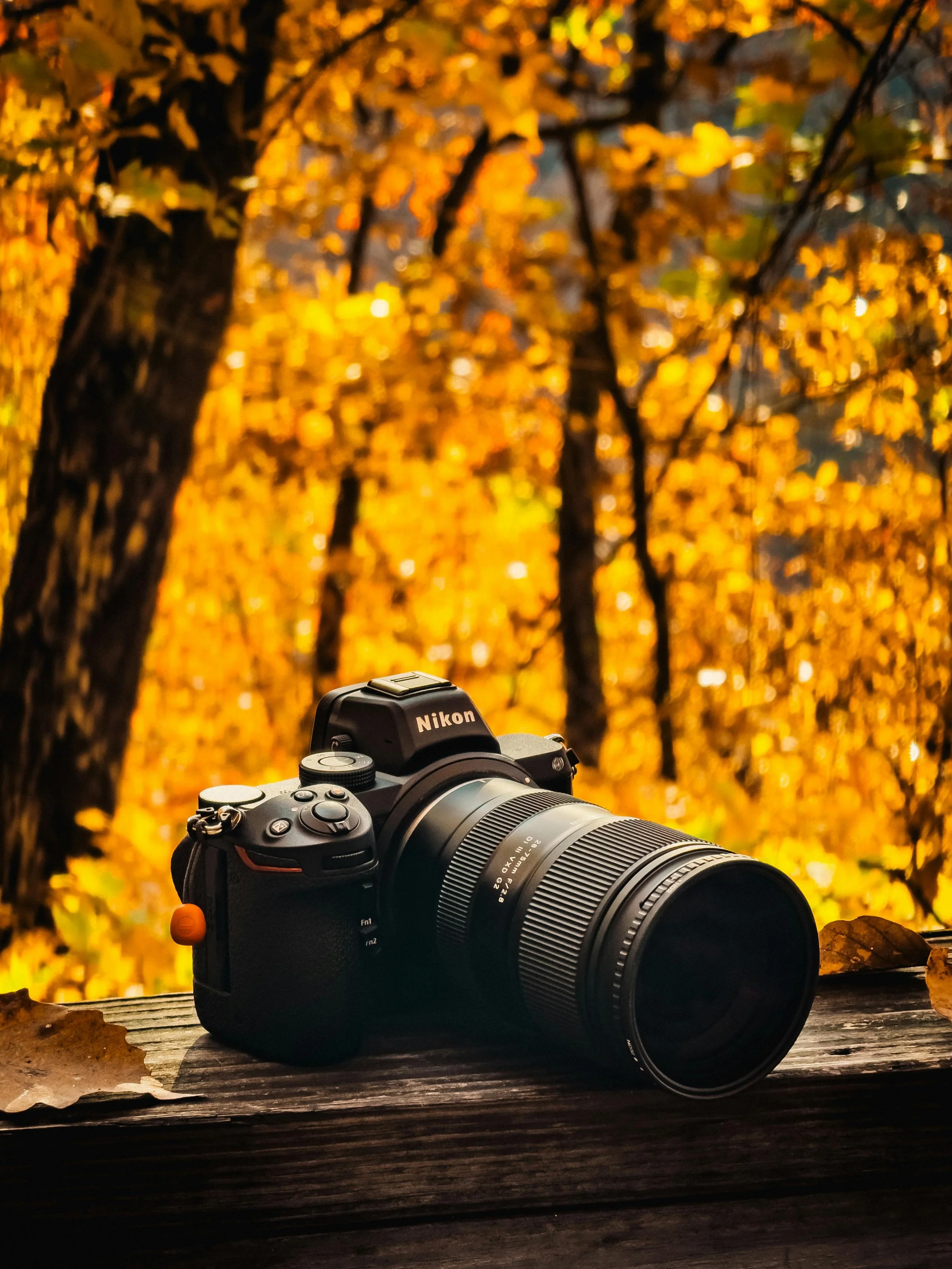 A Nikon camera with a zoom lens resting on a wooden surface, autumn leaves around and a blurred background of orange and yellow fall foliage.