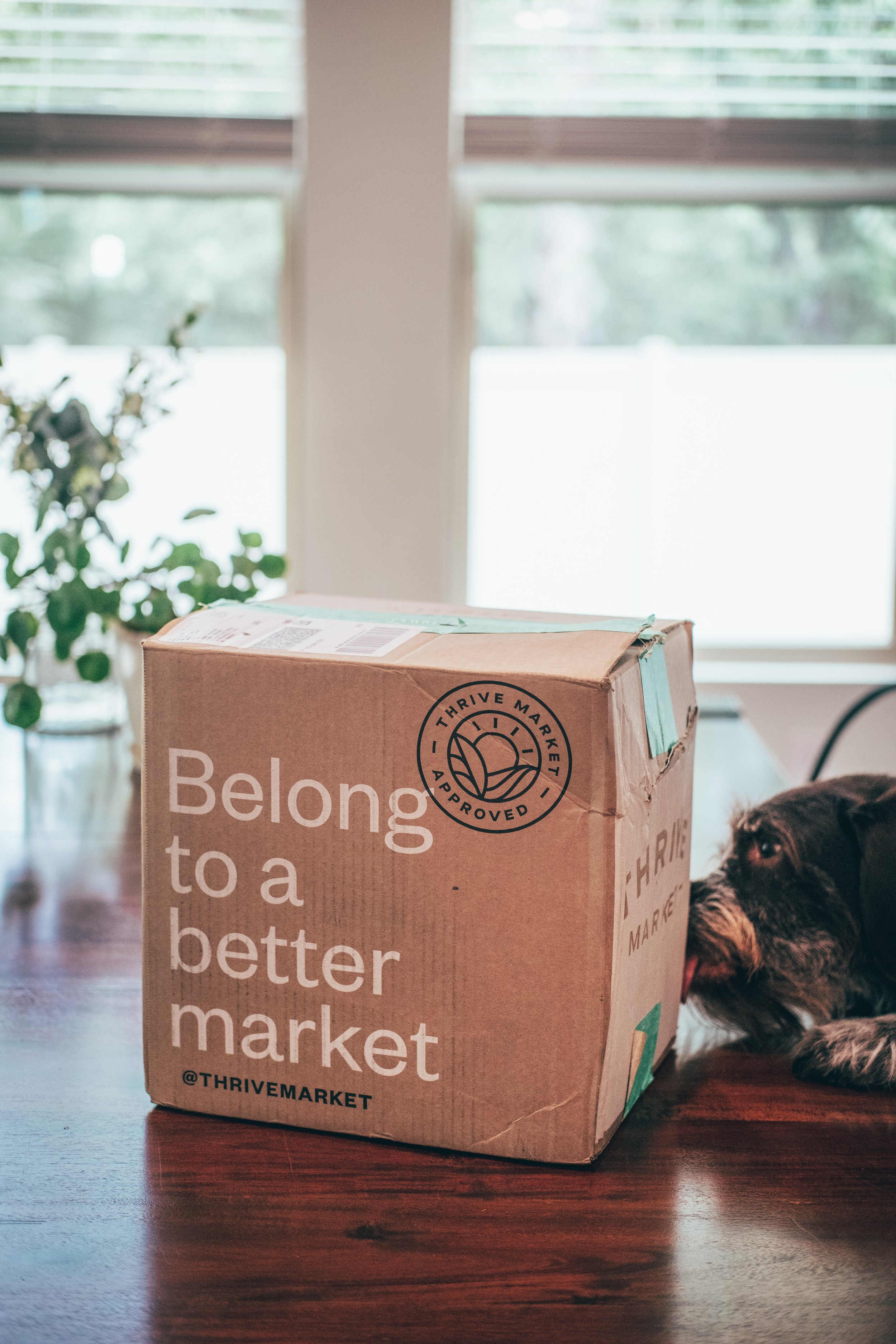 A cardboard box from Thrive Market on a wooden table with a dog sniffing it, near a window with blinds and a plant in the background.