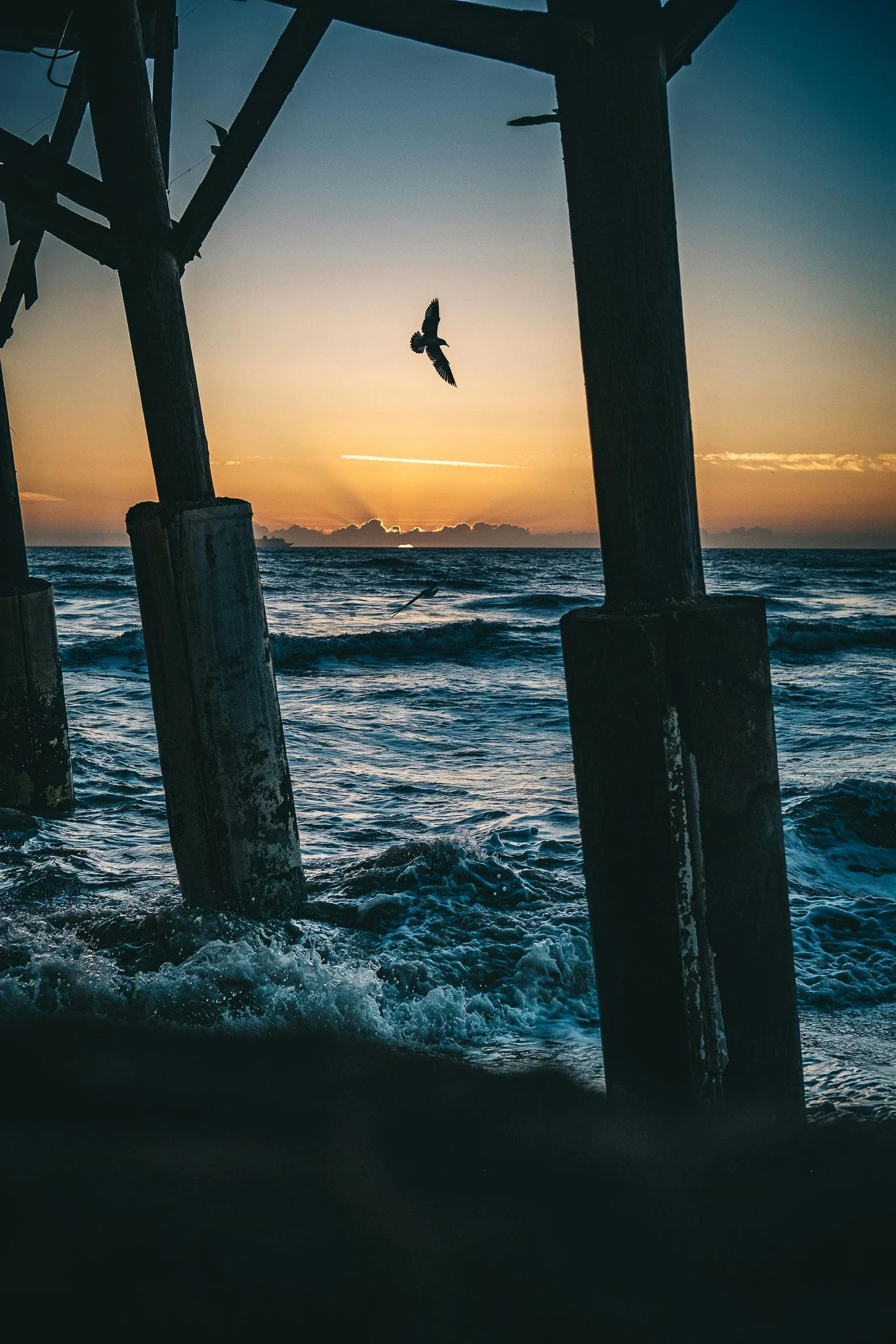 Sunset over the ocean, viewed through the support beams of a pier, with a bird flying in the sky.