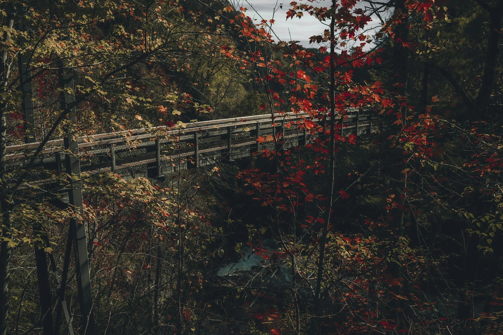 A metal bridge crossing over a river or creek surrounded by trees with autumn foliage.