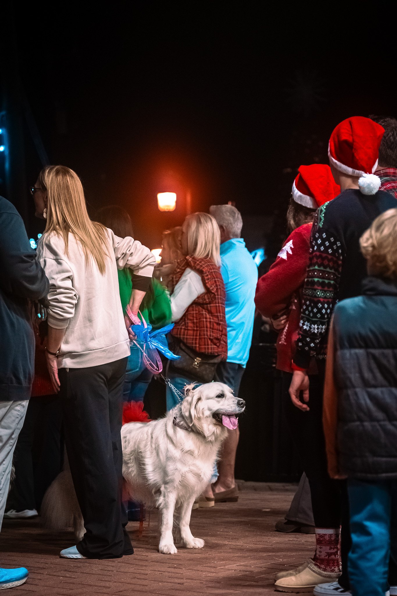 People gathered outdoors at night, several wearing Christmas-themed hats and sweaters, with a large dog on a leash in the foreground.