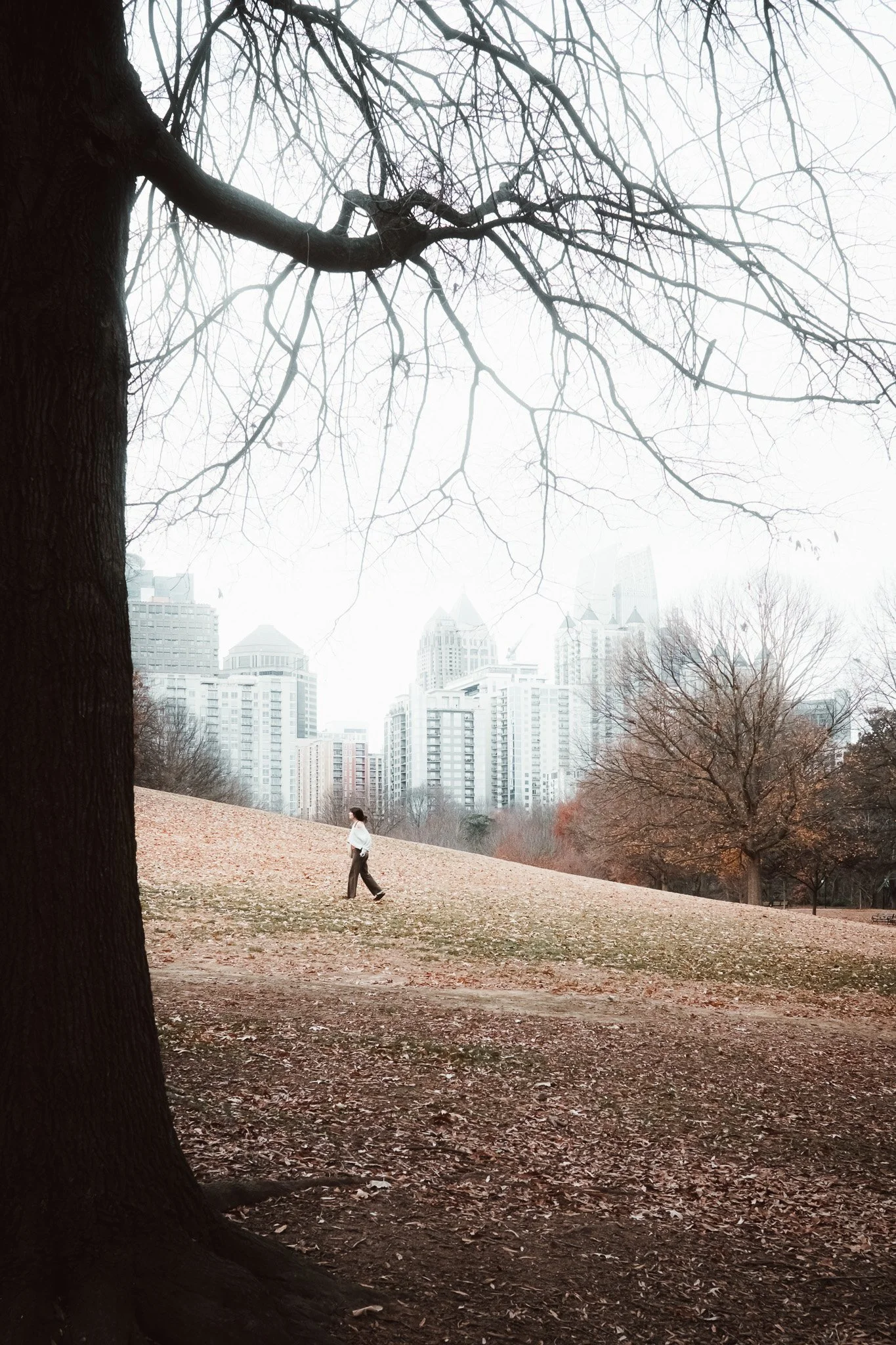 Person walking in a park with leafless trees and city skyscrapers in the background on a cloudy day.