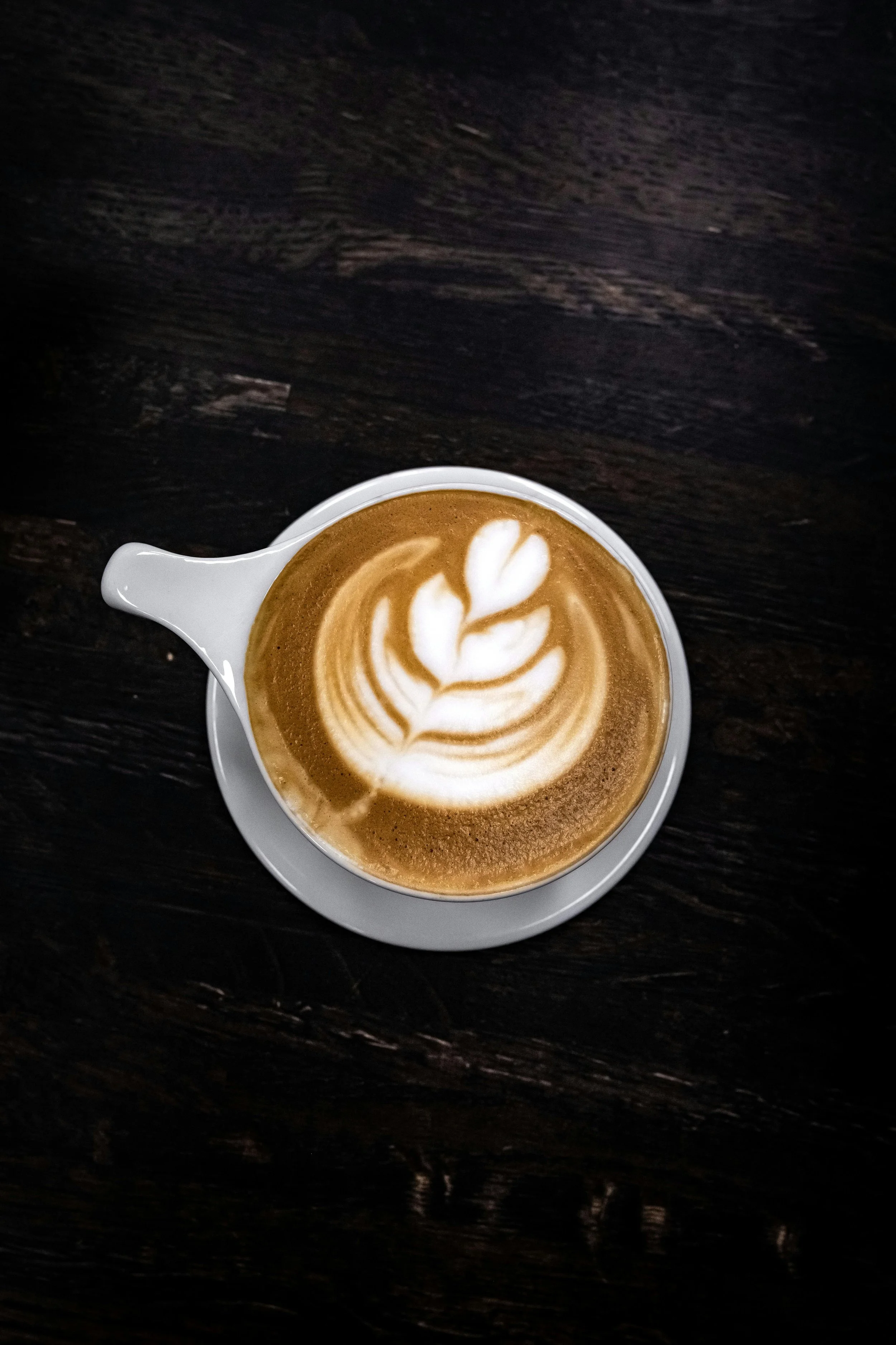 A cup of coffee with latte art in the shape of a leafy branch on a dark wooden table.