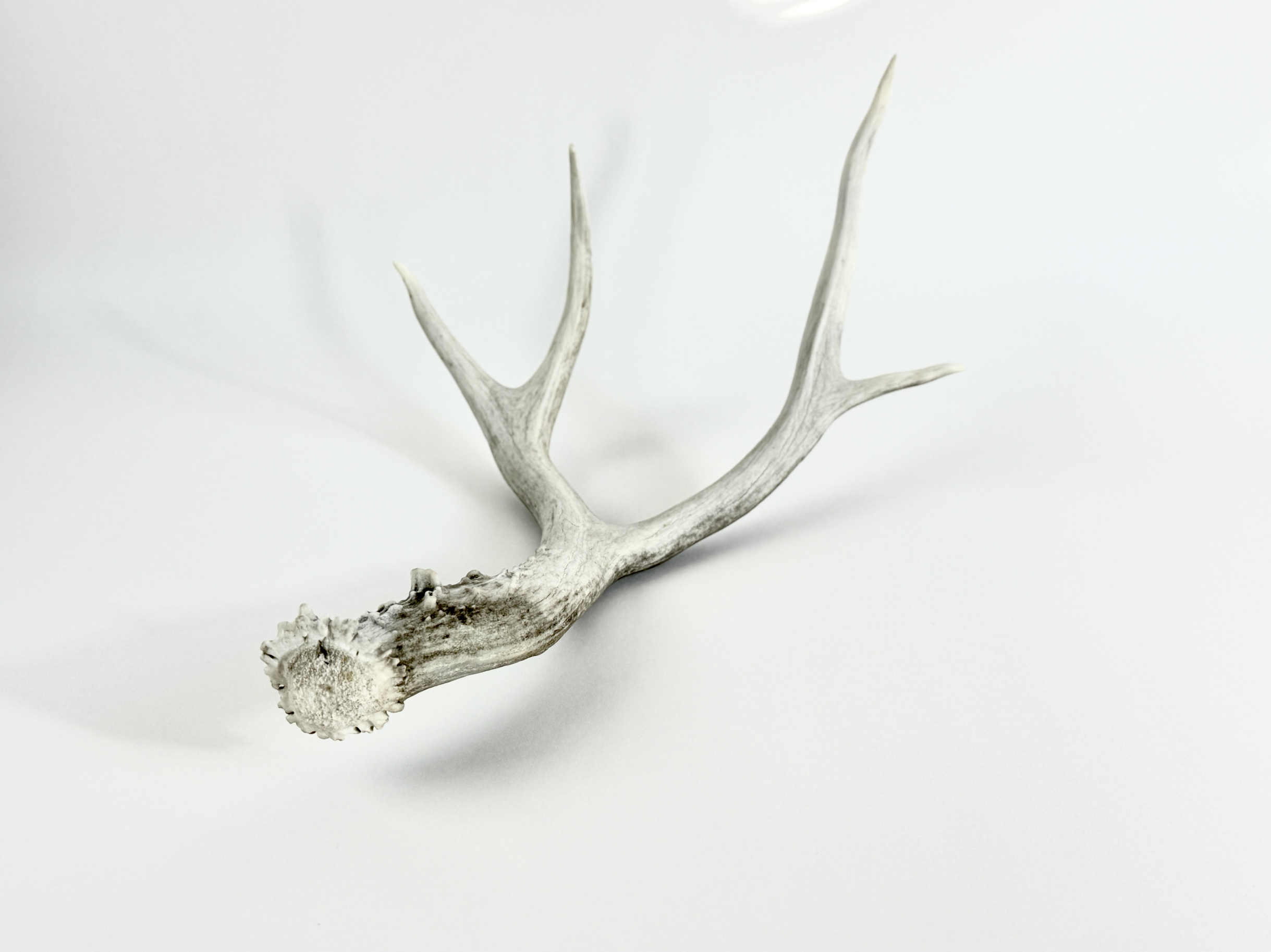 Screenshot 2026-01-25 at 3.46.59 PM.png