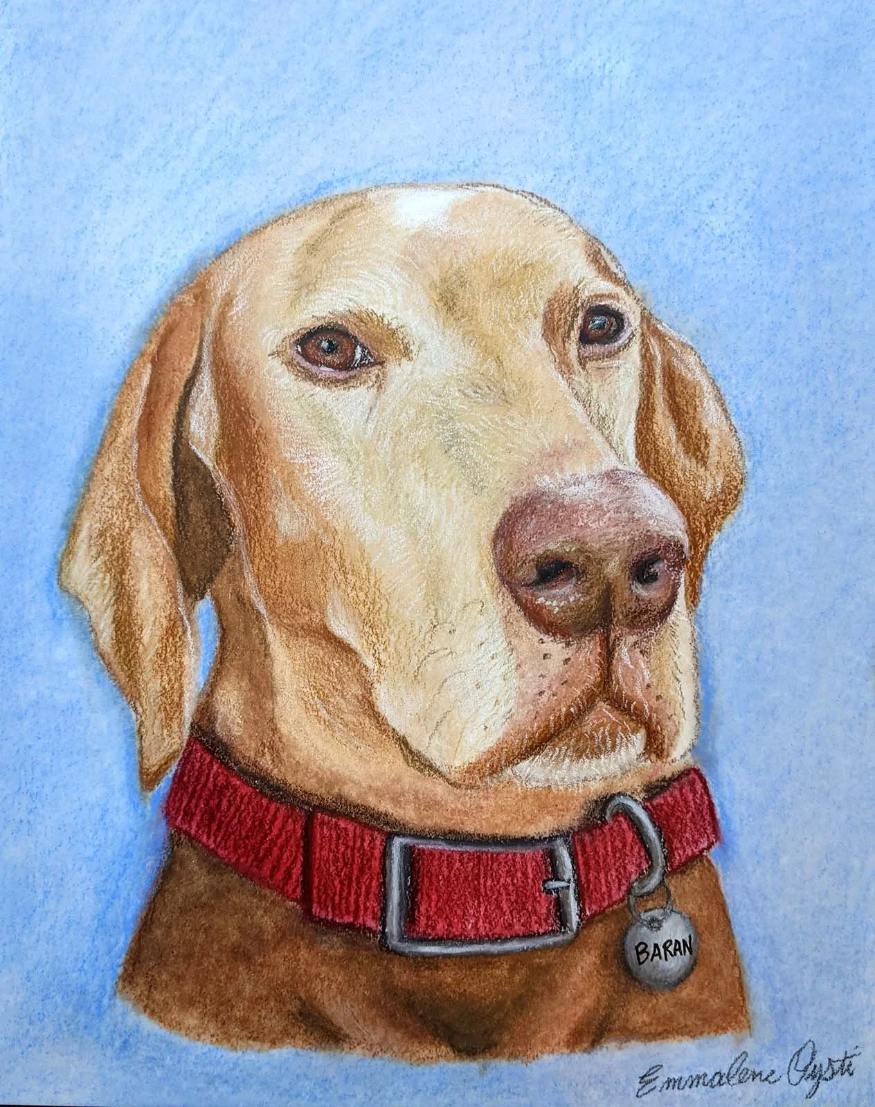 Baran, Mixed Media, 2021. Commissioned Pet Portrait.