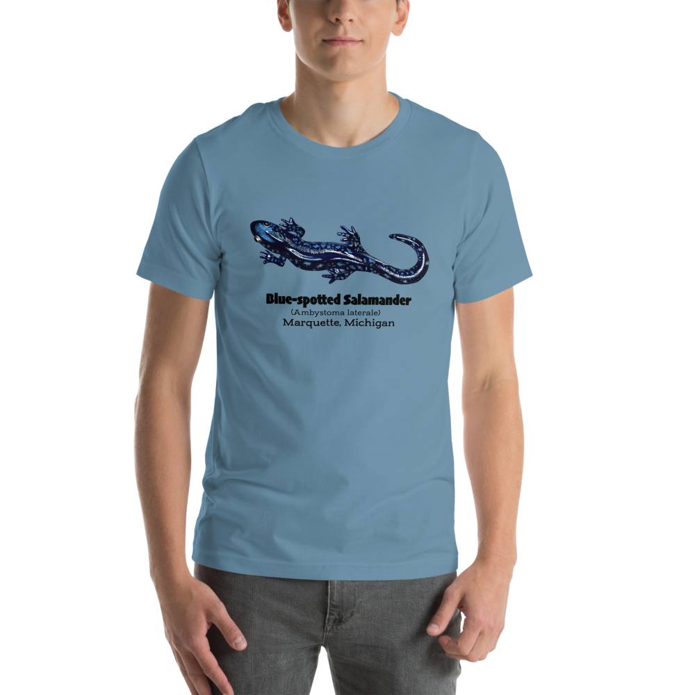 unisex-staple-t-shirt-steel-blue-front-65f5ffe660690.png
