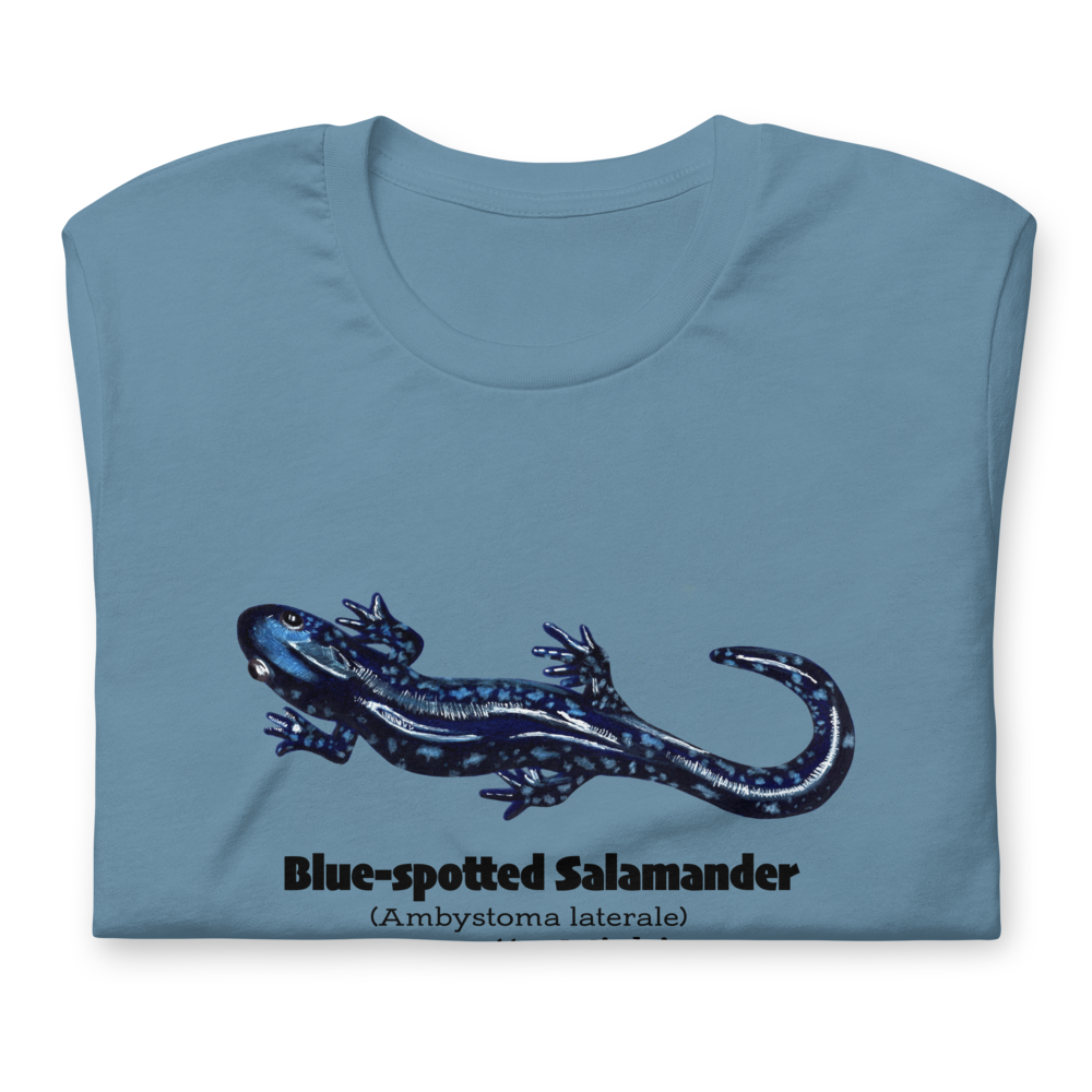 unisex-staple-t-shirt-steel-blue-front-65f5ffe669018.png