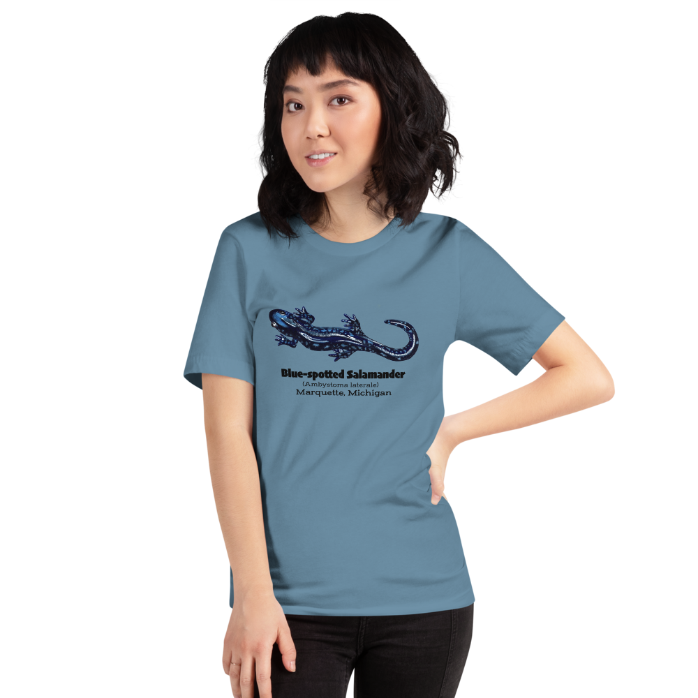 unisex-staple-t-shirt-steel-blue-front-65f5ffe663589.png