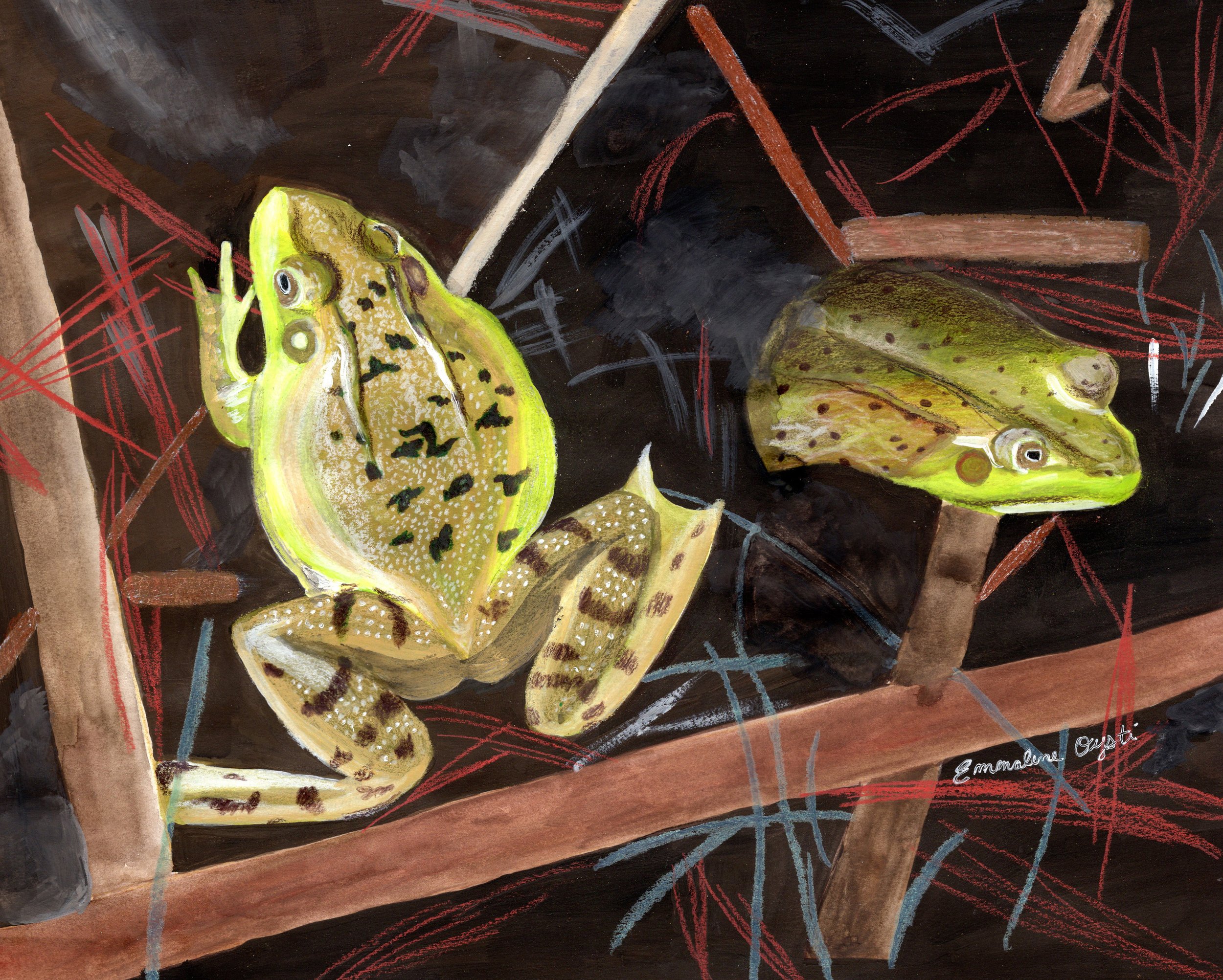 Pond Frogs, Mixed Media, 2021.