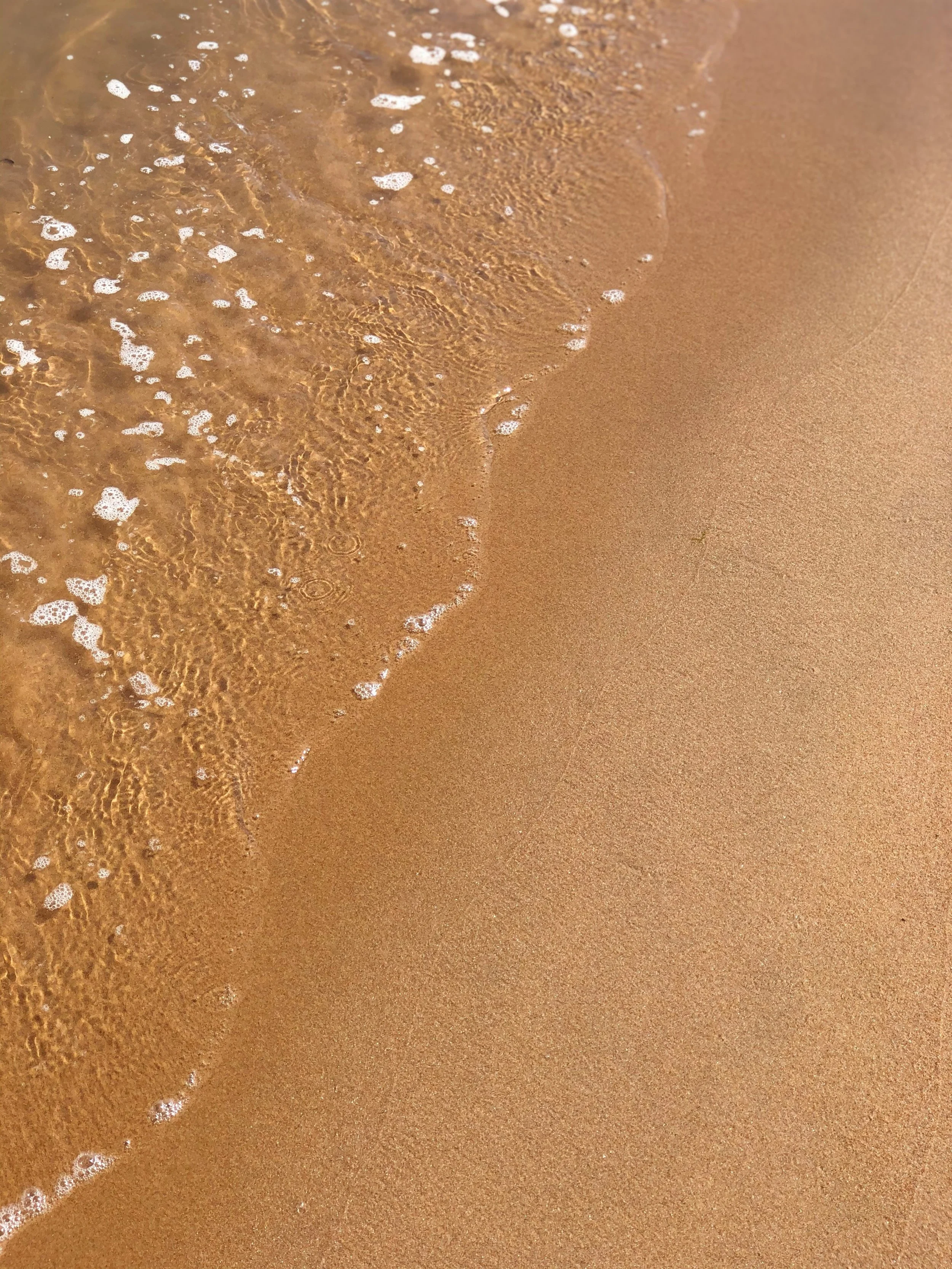 Close-up of a sandy beach with gentle waves and foam.
