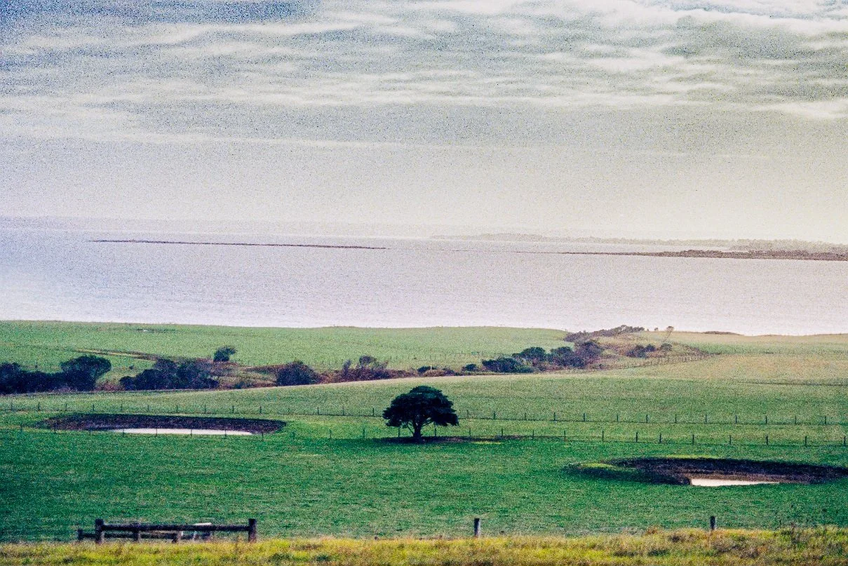 A quiet stretch of Australian countryside unfolds toward the ocean horizon, where rolling green fields meet soft coastal light. Captured on Nikon FM 35mm film, this image reflects the calm rhythm of rural Victoria, preserving natural textures, depth,