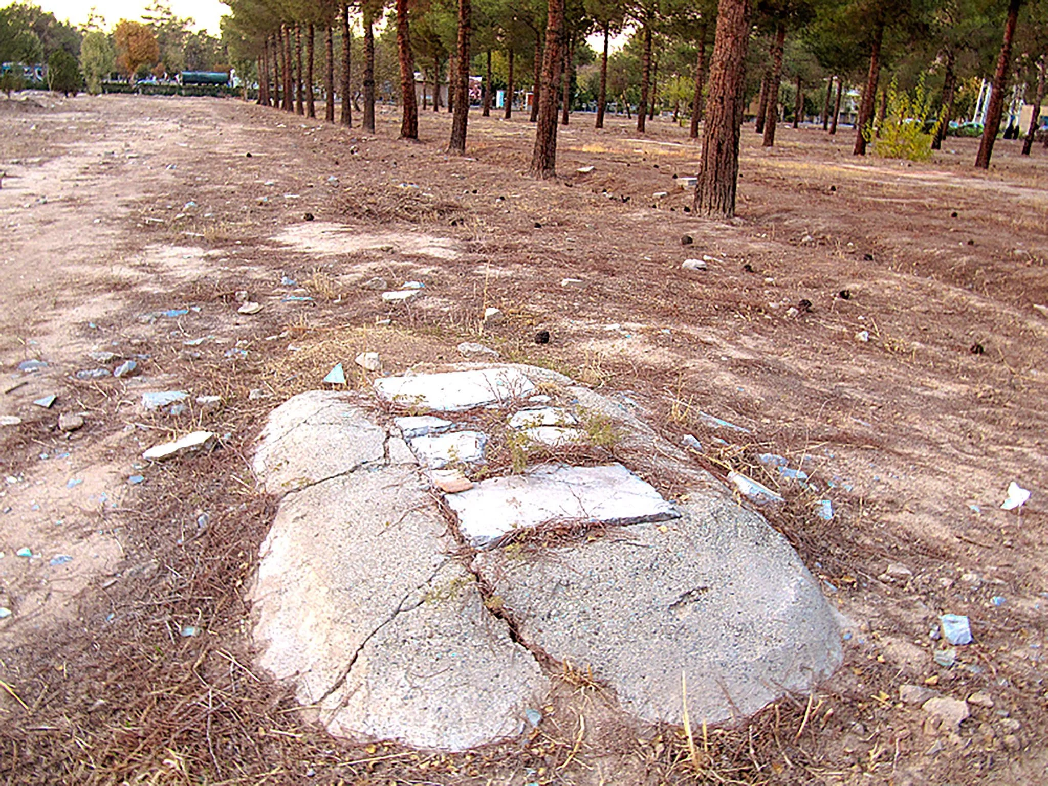 Grave Business — Tehran, Iran, 2011-31.jpg