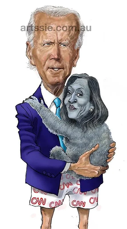 The Biden Koala