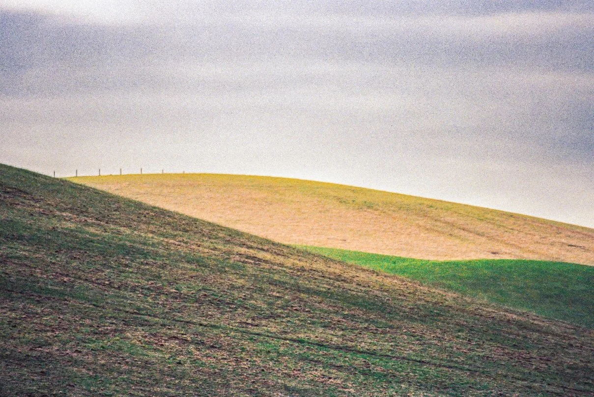 Rolling hills in rural Victoria, Australia — photographed on Nikon FM 35mm film, capturing subtle color shifts and natural film grain across the landscape.