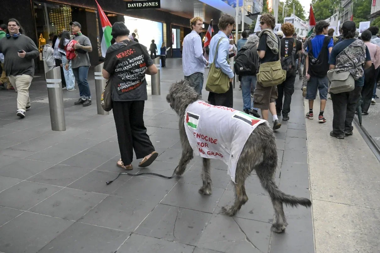 Documentary photograph from a pro-Palestine march through Melbourne’s CBD, capturing public protest, political expression, and street-level moments.
Photo by Farhad Rajabali | Artssie