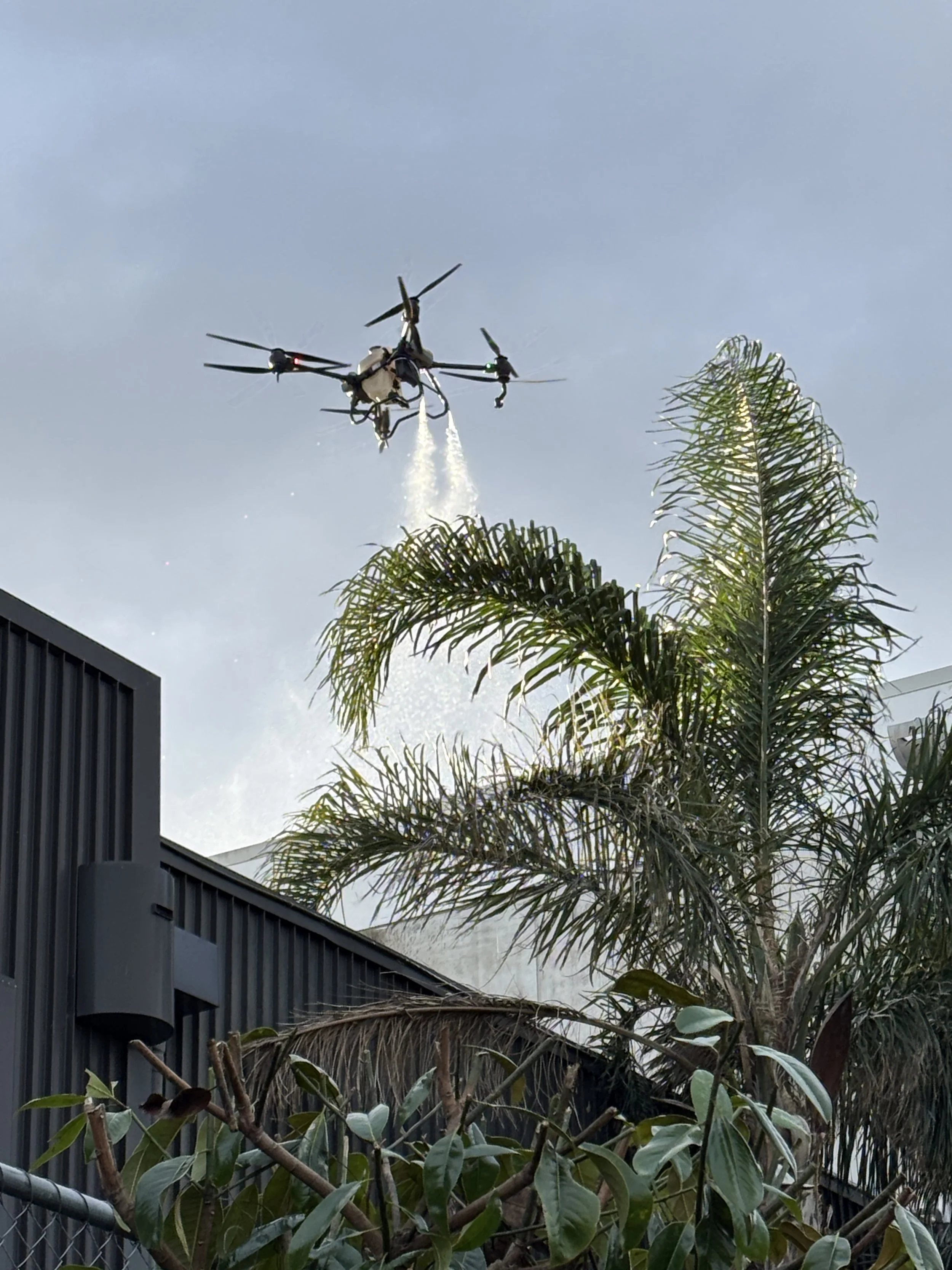 A drone spraying liquid above palm trees and bushes on a cloudy day.