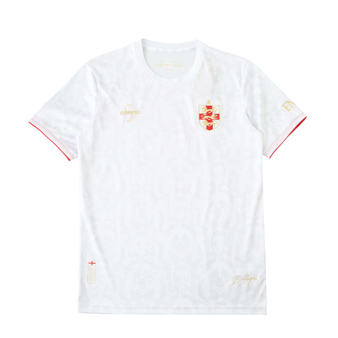 2425 season England Concept version Fan version