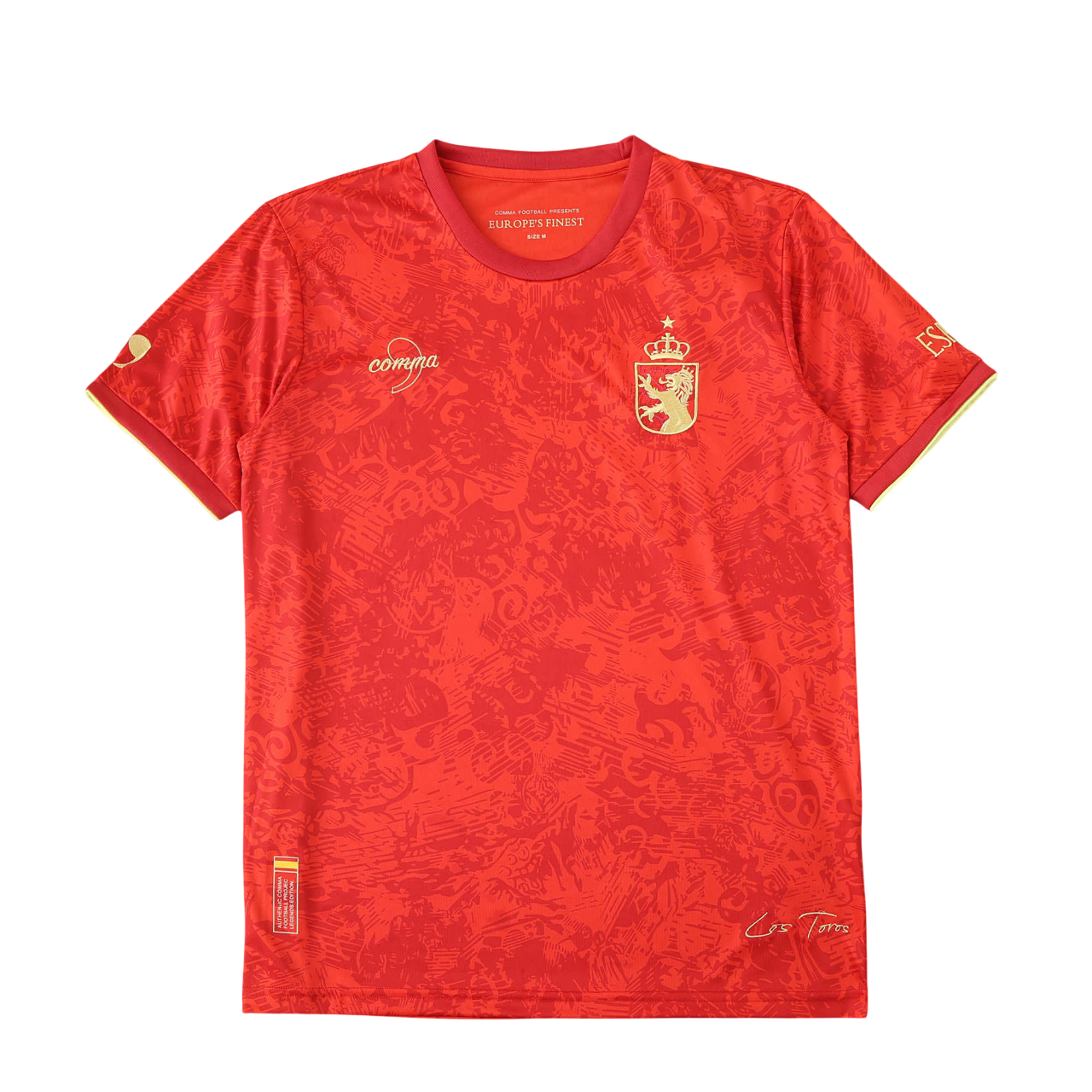 2425 season Spain Concept version Fan version