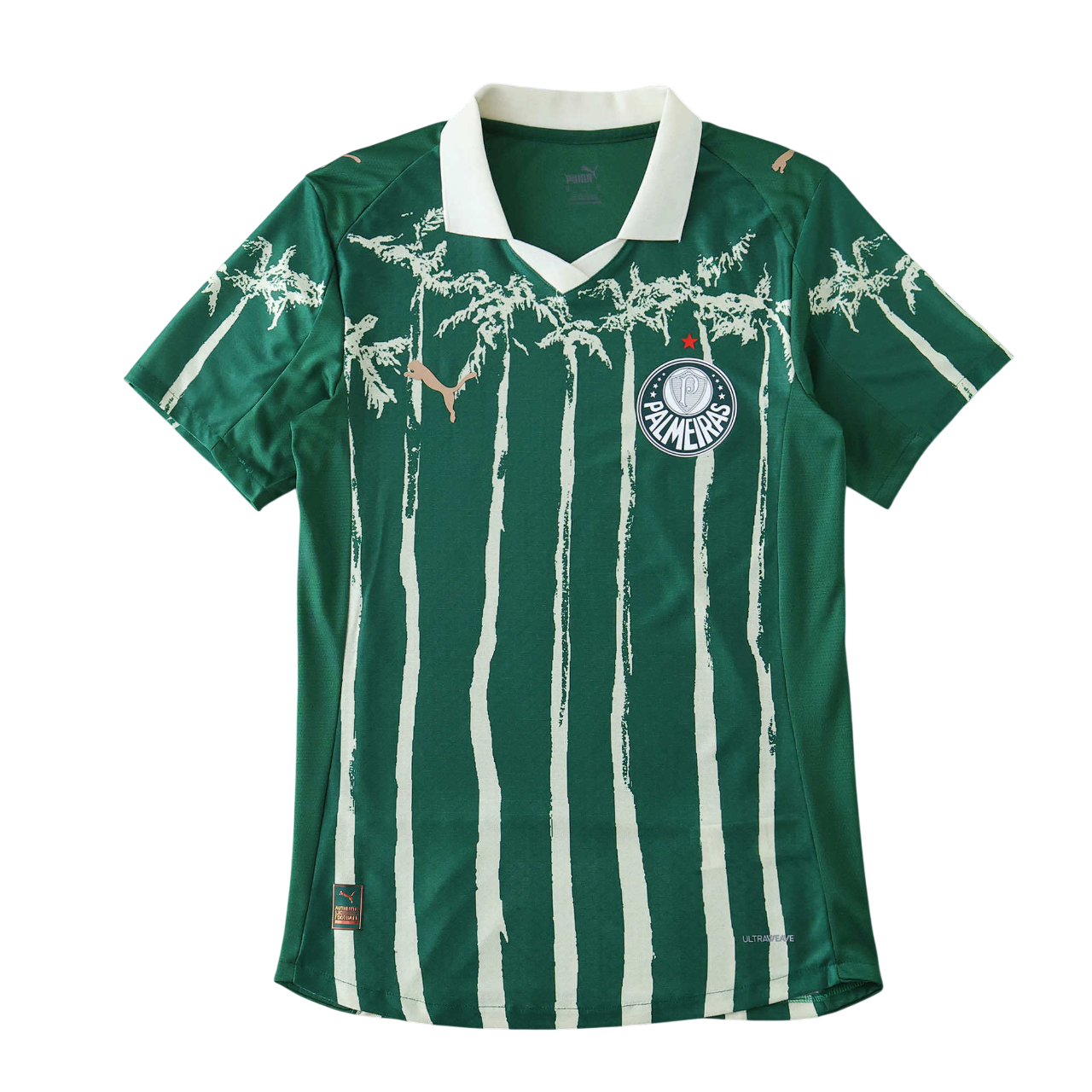 2526 season Palmeiras Concept version Player version