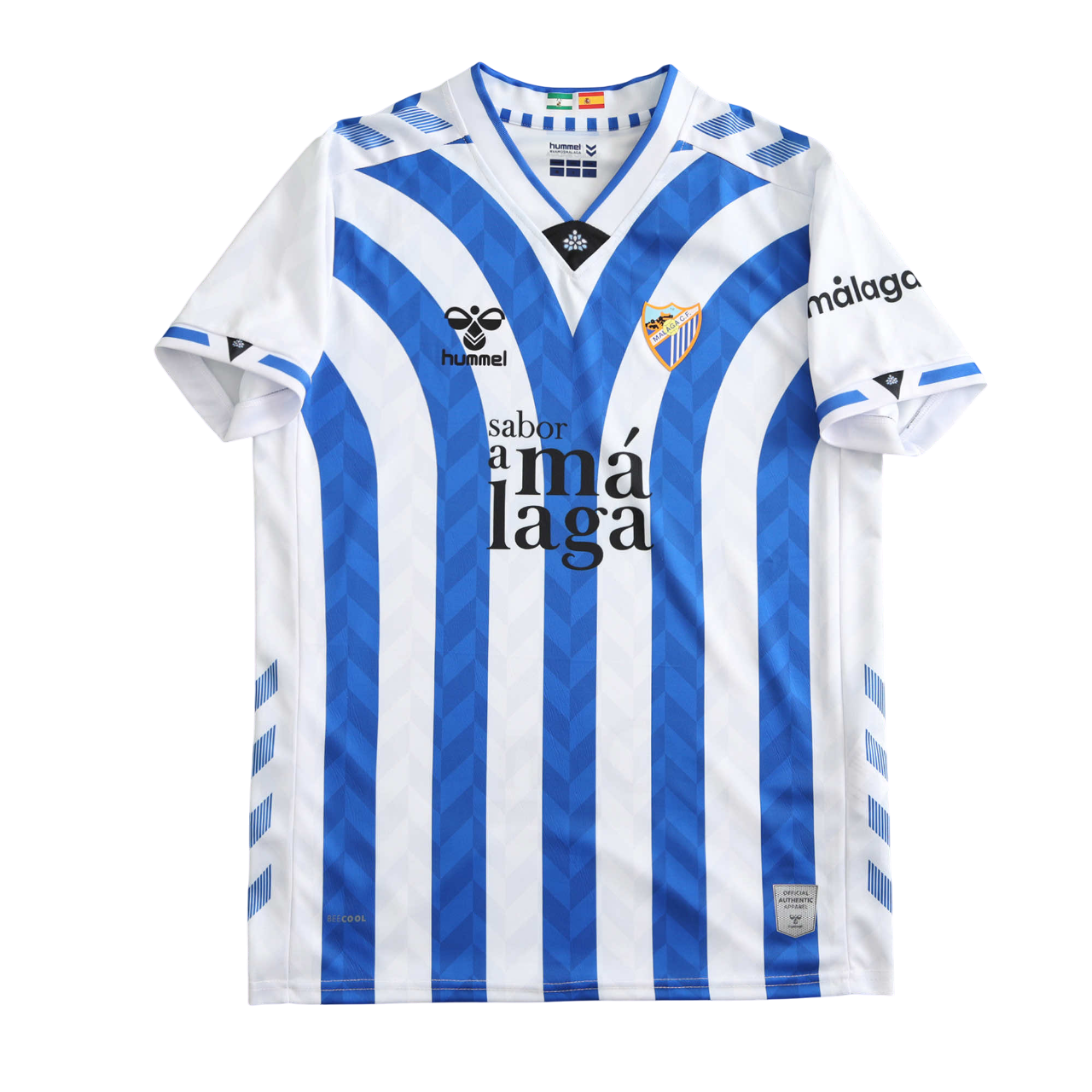 2425 malaga Concept version Fan version