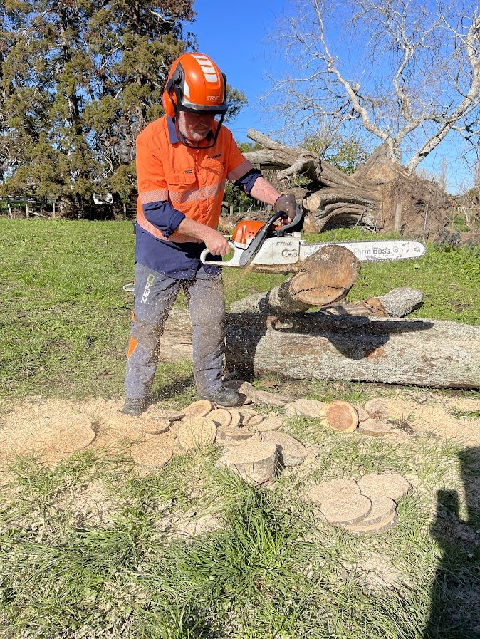 Chainsaw Training