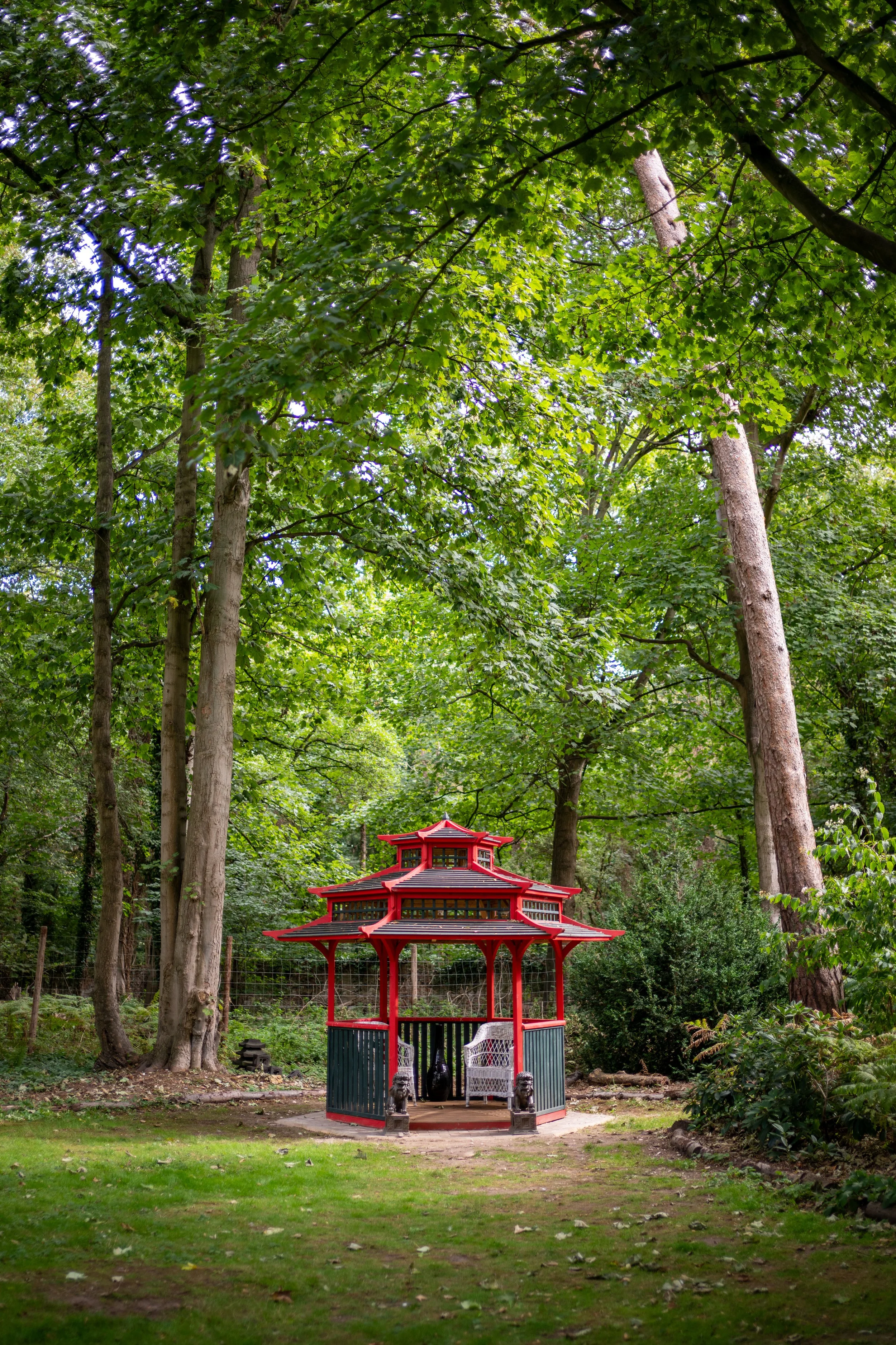 A red pagoda-style gazebo in a lush green forest surrounded by tall trees
