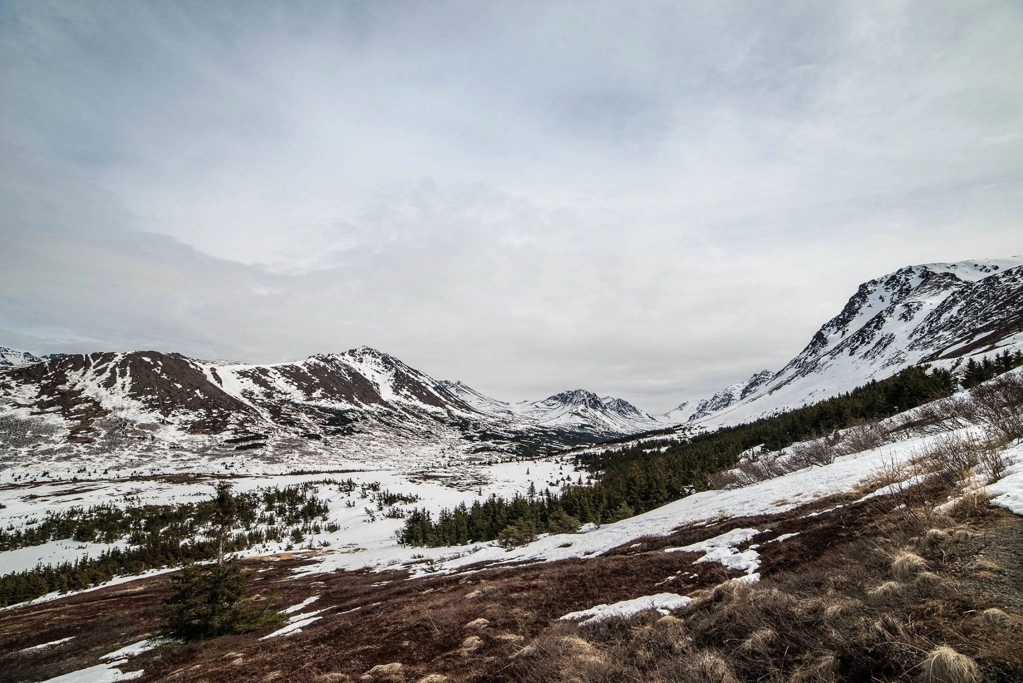 Snow-covered mountains and a valley with evergreen trees under a cloudy sky.