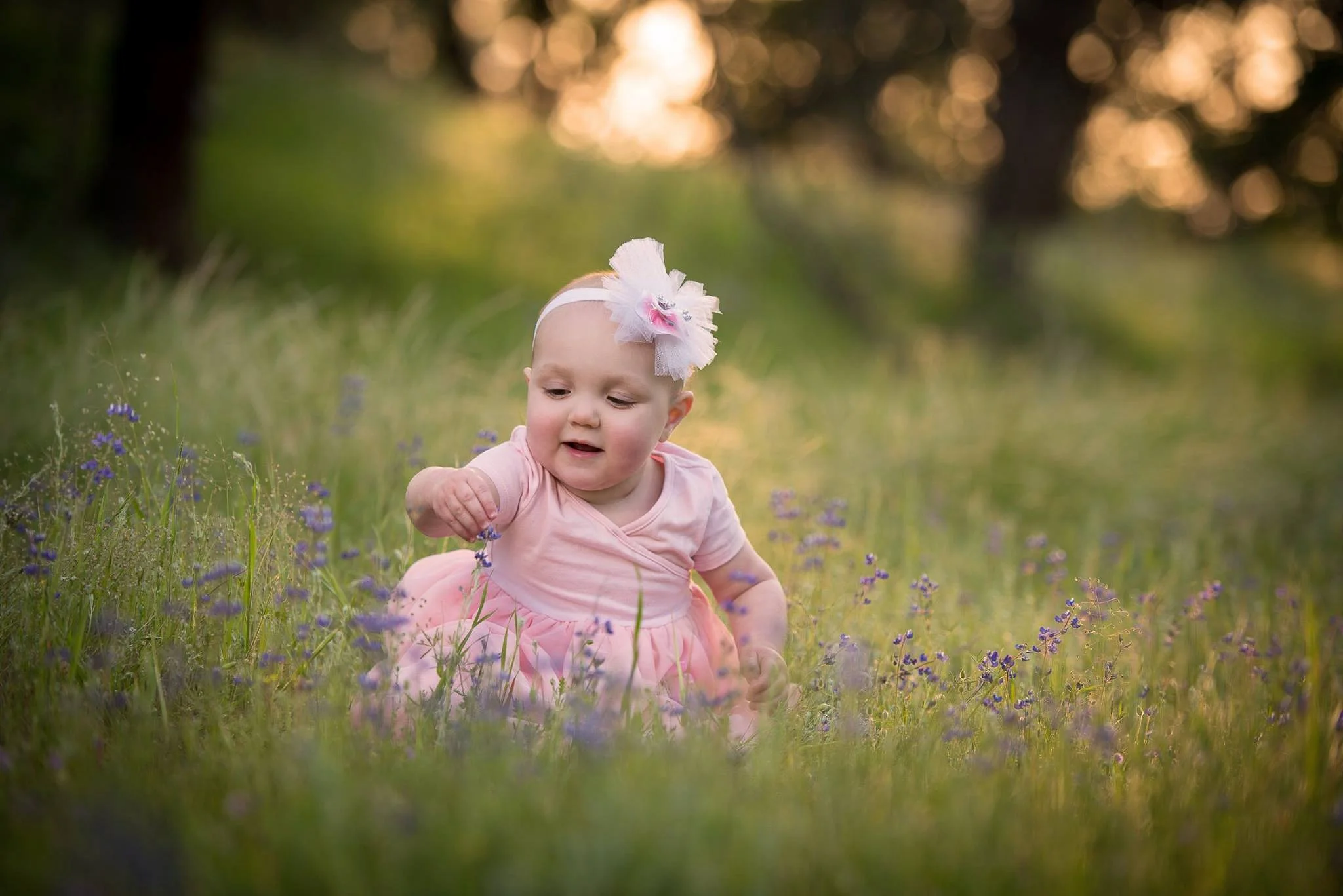 A baby girl wearing a pink dress and a headband with a flower, crawling in a field of purple flowers at sunset.