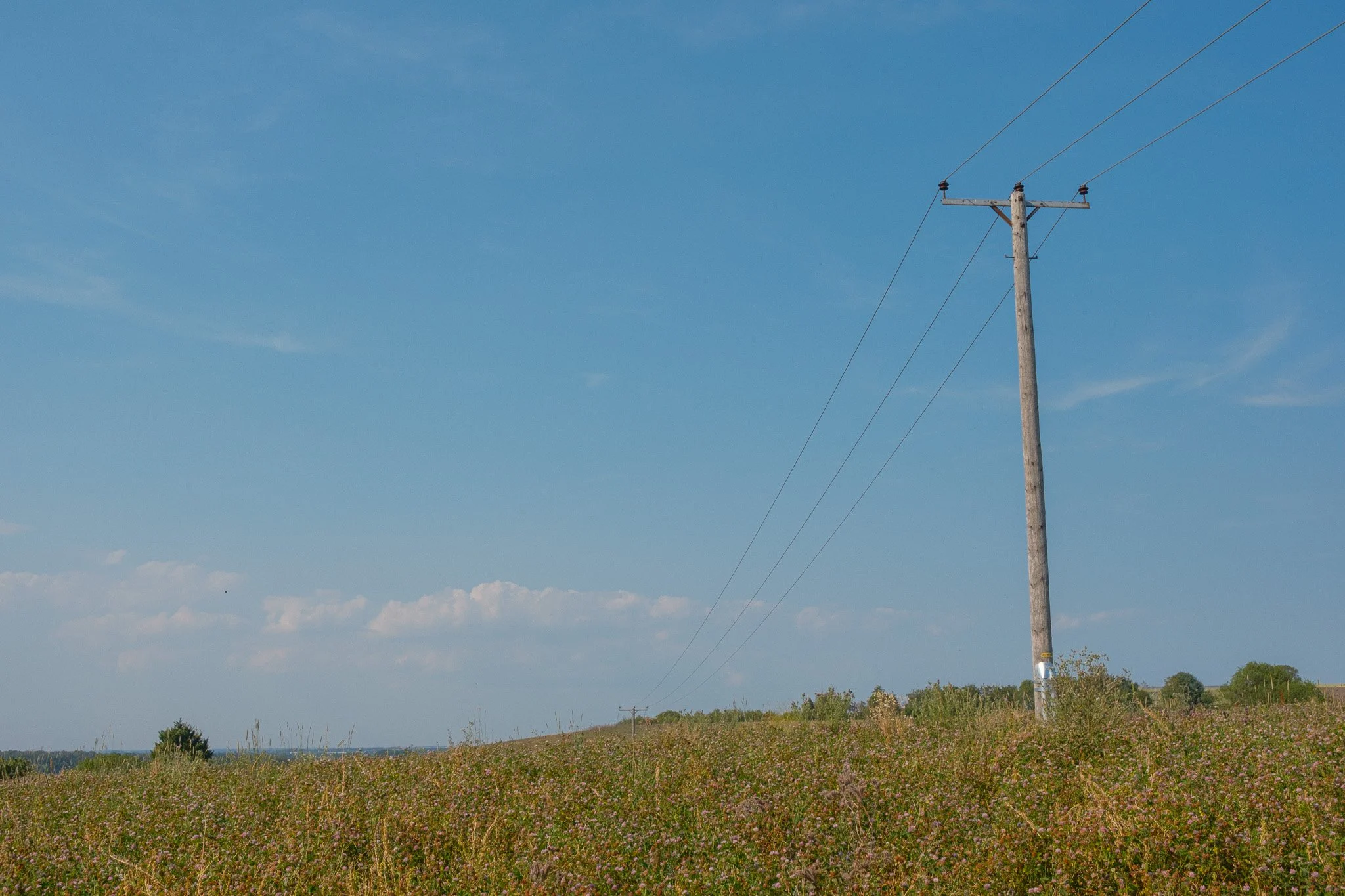 DSCF0812.jpg