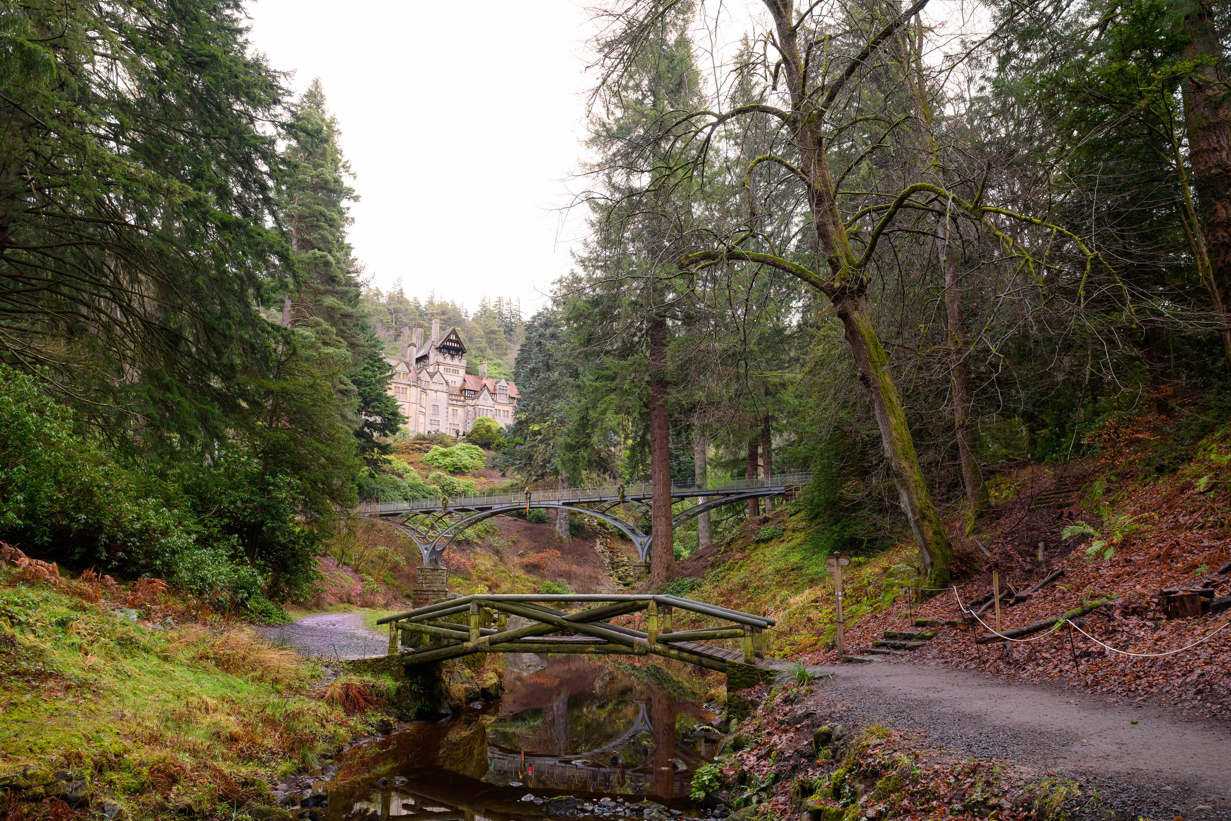 A scenic view of a winding pathway through a forested area with a small wooden bridge over a stream, and a large, castle-like building in the distance, surrounded by tall trees and lush greenery.