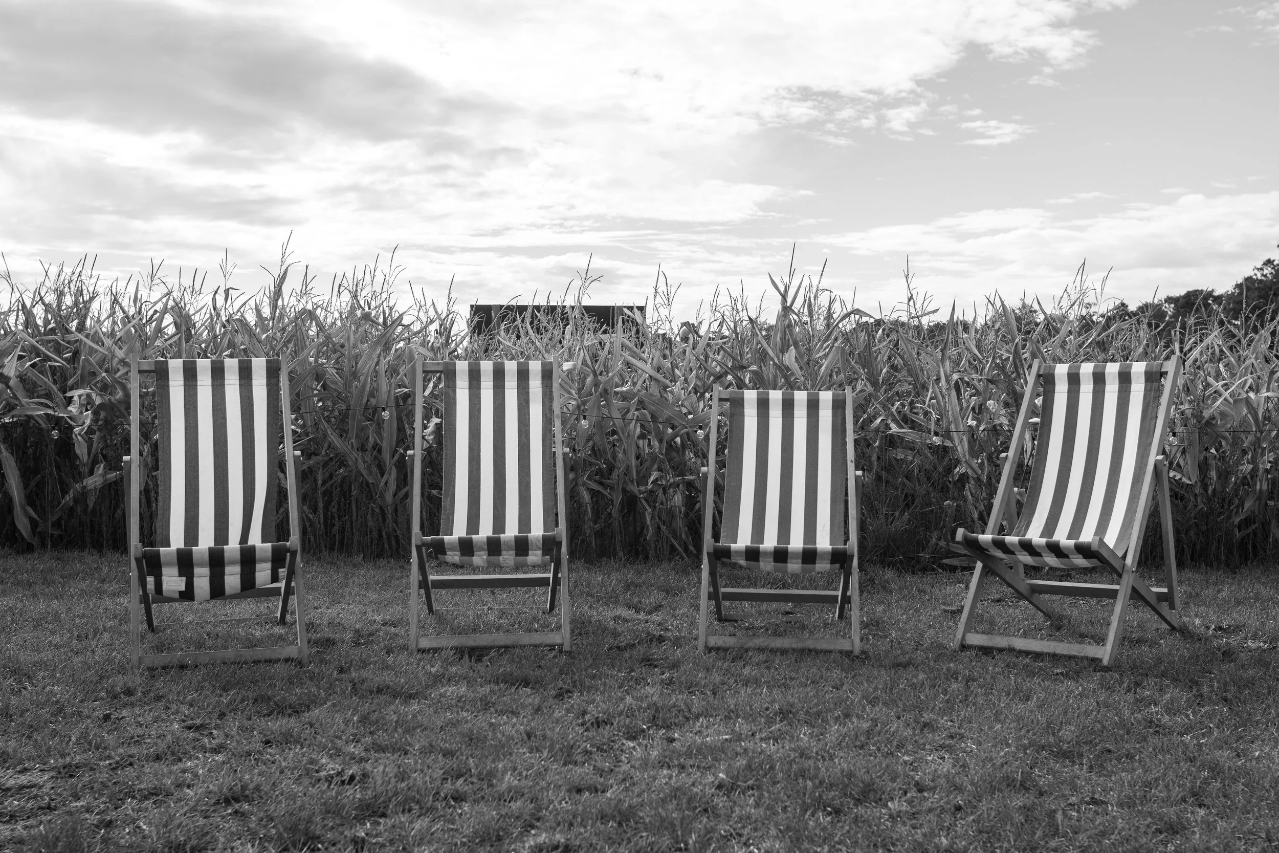 Four striped deck chairs arranged in a row on a grassy field in front of a tall cornfield under a partly cloudy sky.