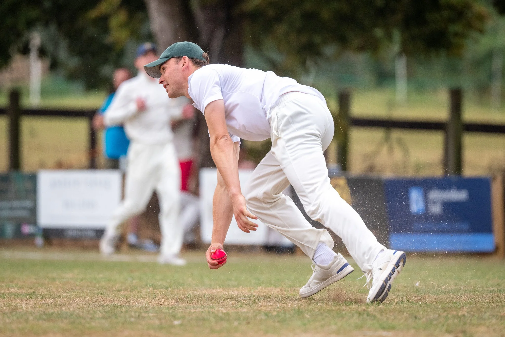 A man in cricket whites crouches and reaches for a pink cricket ball on the ground during a match.