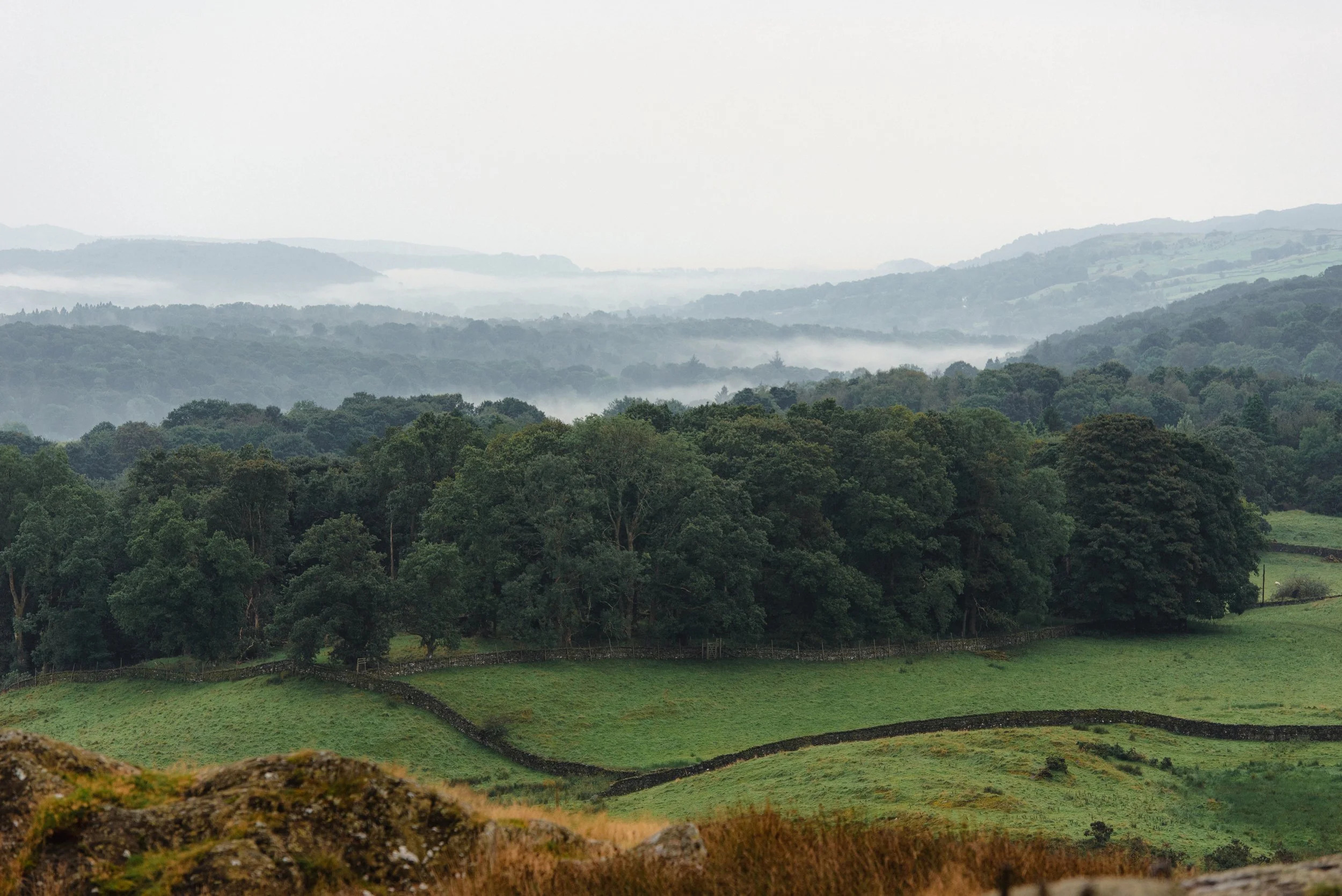 A scenic landscape featuring rolling green hills, a stone wall, and dense trees under a foggy sky.