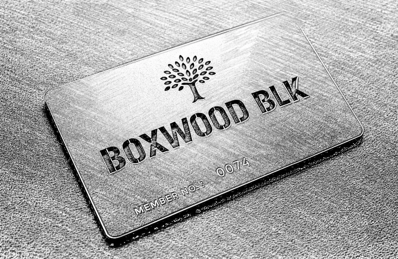 Boxwood Lounge Launch Party