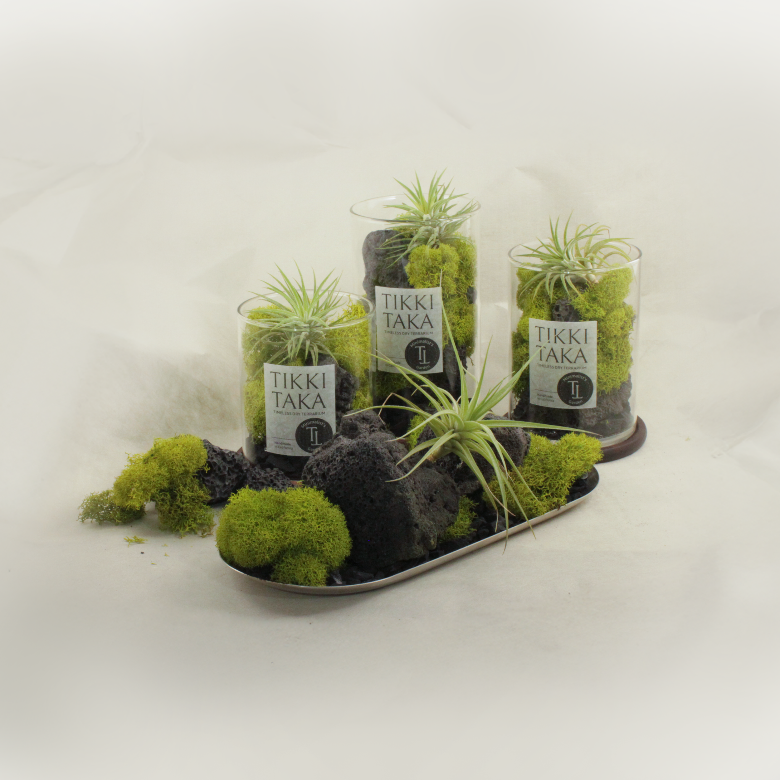 All_grey bg_light.png