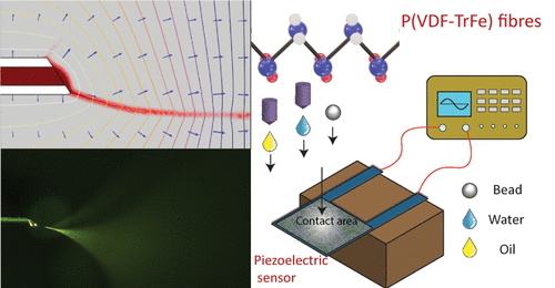 Enhanced Electrohydrodynamics for Electrospinning a Highly Sensitive Flexible Fiber-Based Piezoelectric Sensor