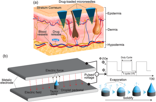 Fabrication of Microneedles by Pulsating In Situ Dried Electrostretching for Transdermal Drug Delivery