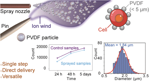 Charge-Reduced Particles via Self-Propelled Electrohydrodynamic Atomization for Drug Delivery Applications