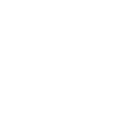 New York Times Logo