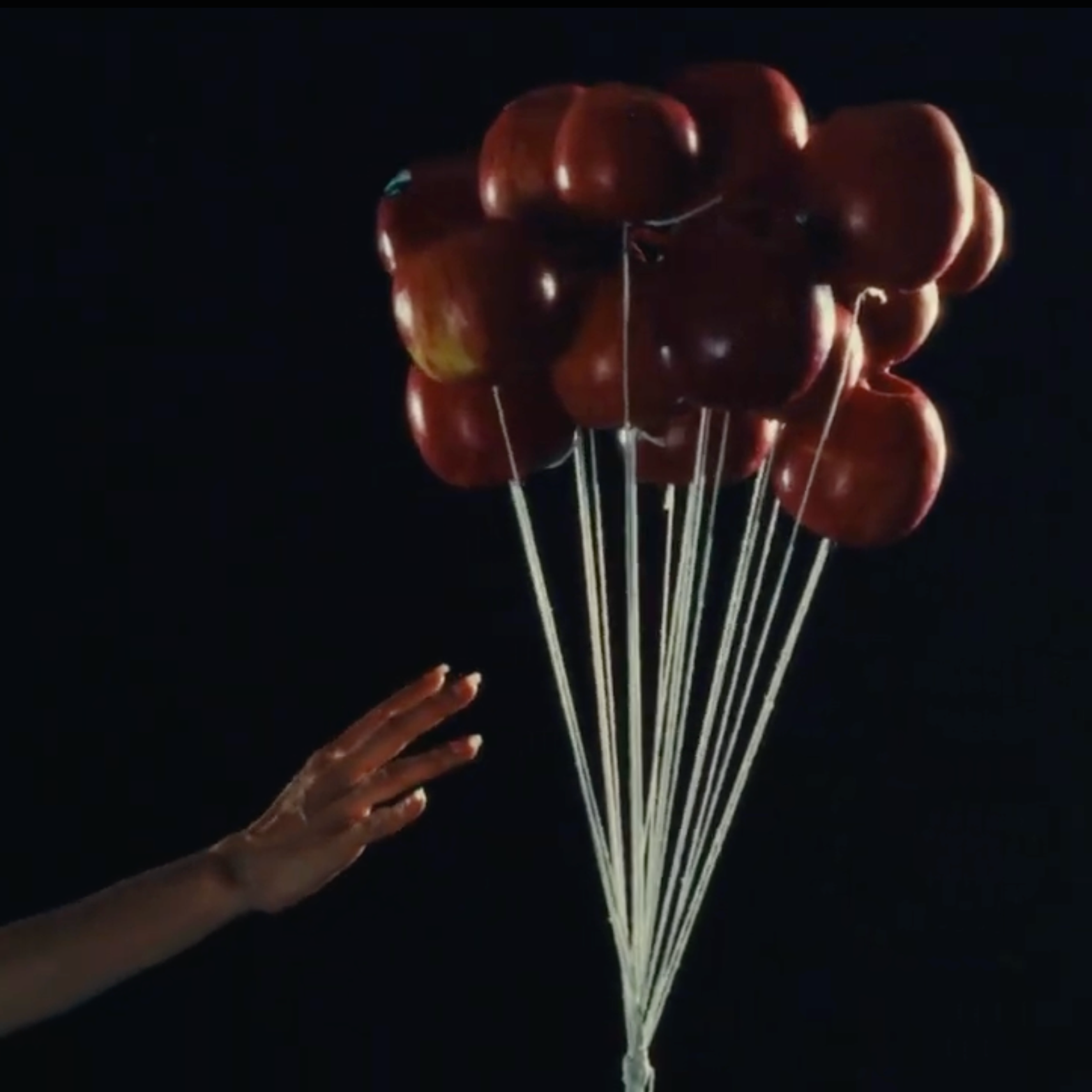 玫瑰只是其中的一部分Apple&Hero