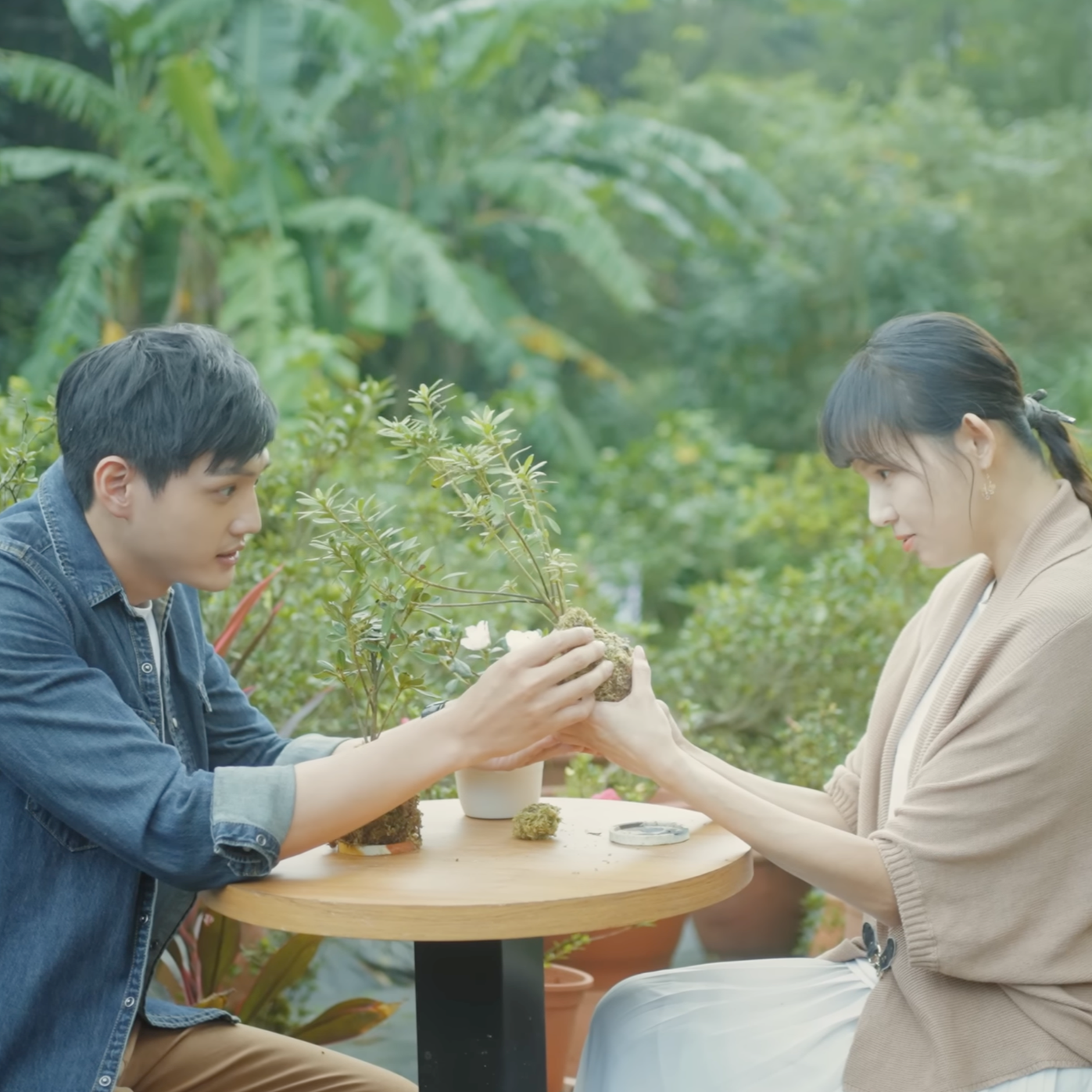 皇冠北海岸形象north guan