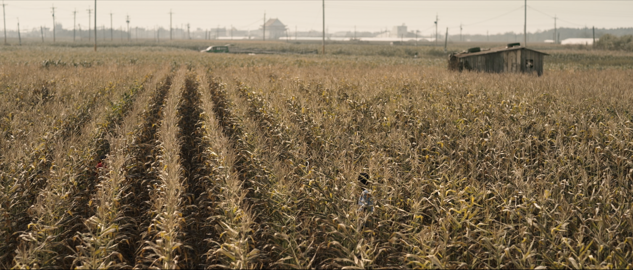 截圖 2022-02-12 下午3.27.52.png