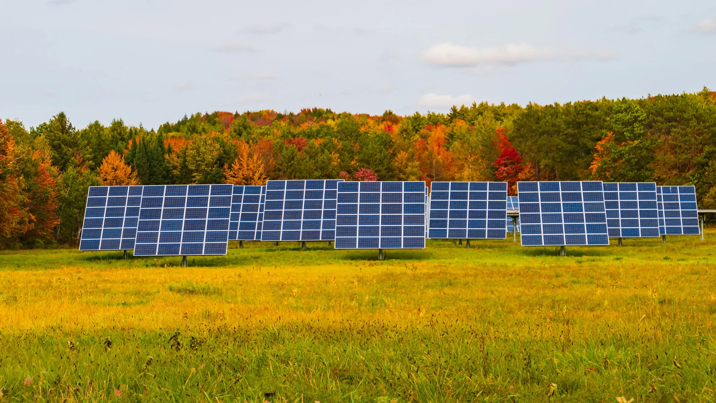 Array of solar panels installed in a grassy field with colorful autumn trees in the background under a partly cloudy sky.